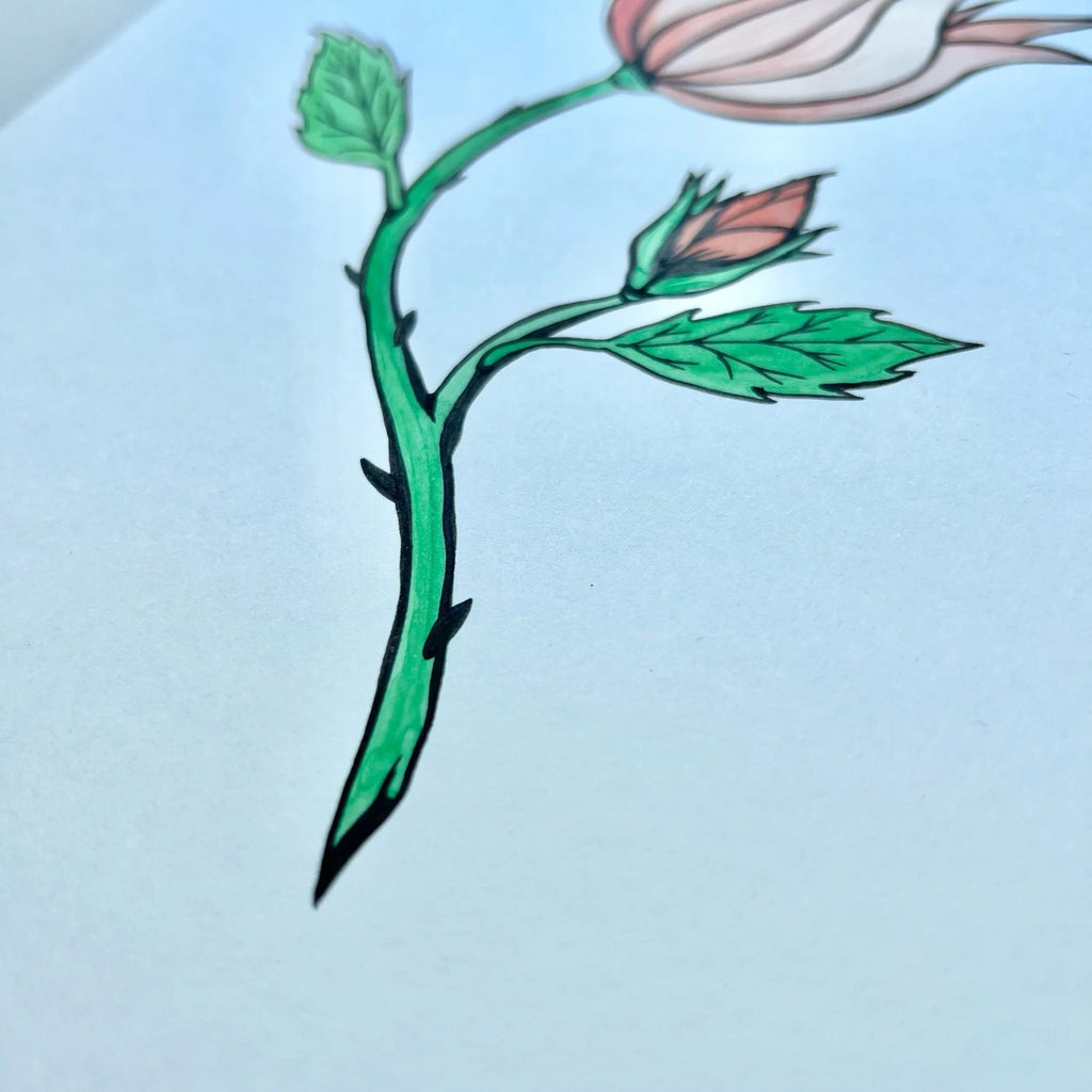 ROSE 3