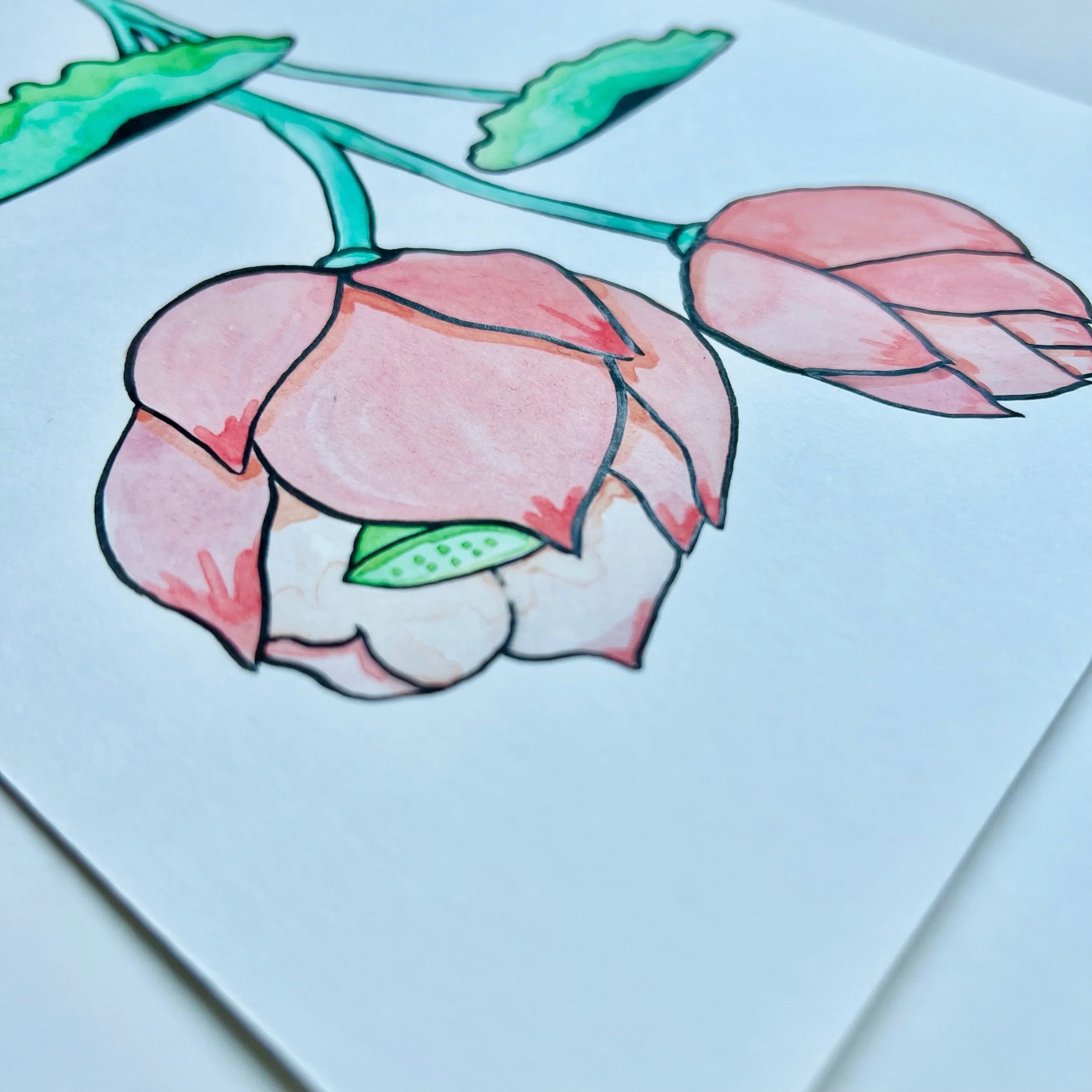 LOTUS 2
