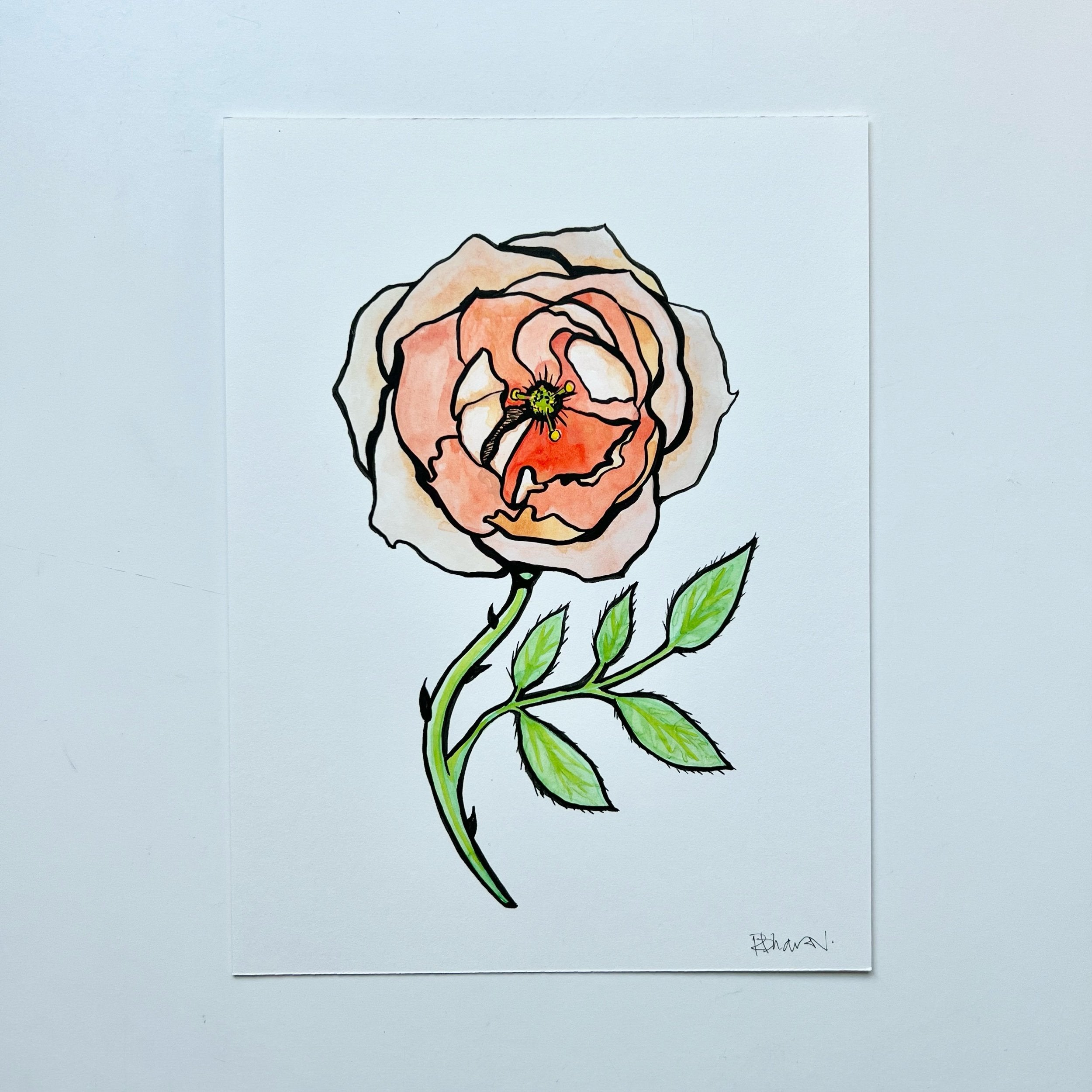 ROSE 1