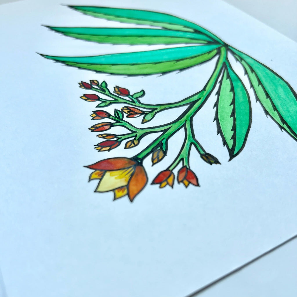 ALOE 1