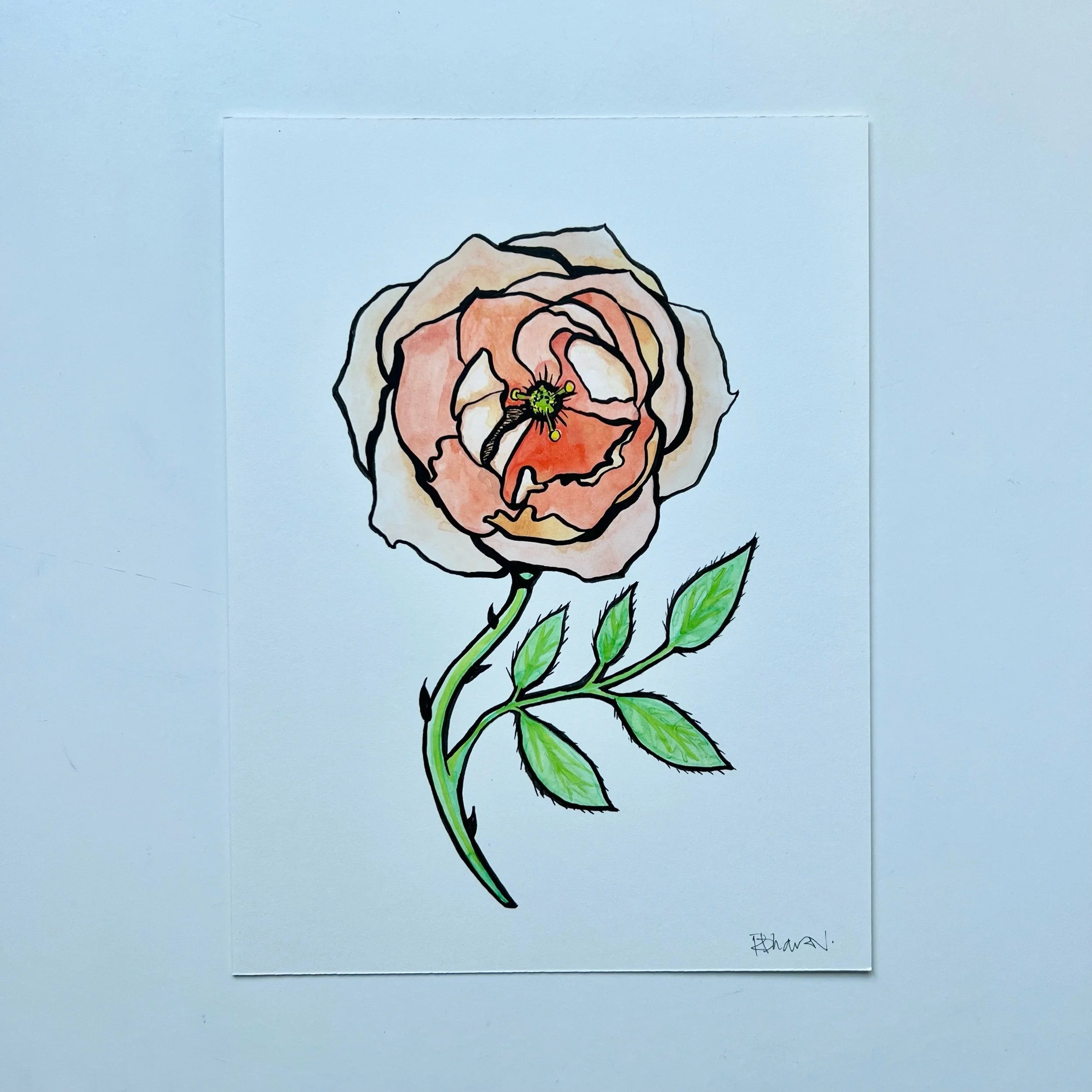ROSE 1