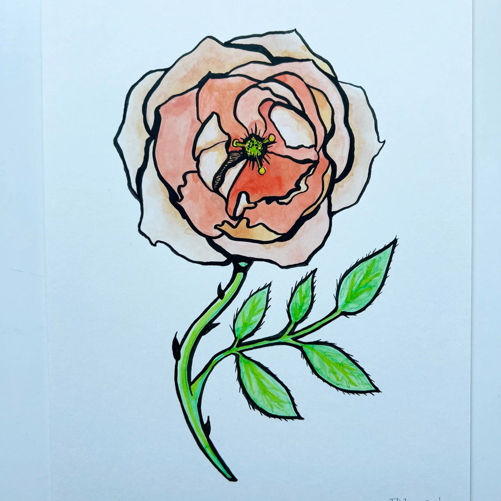 ROSE 1