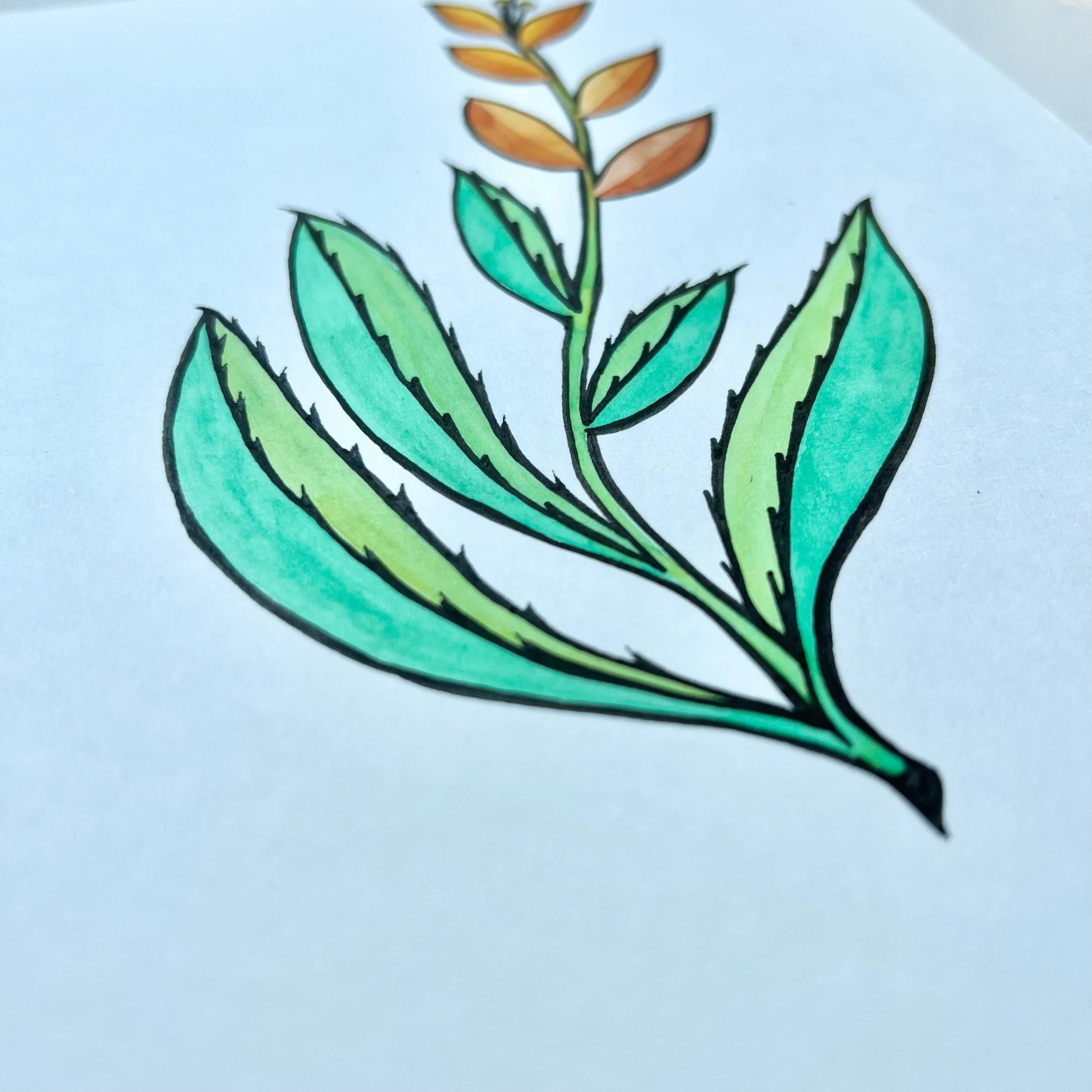 ALOE 2
