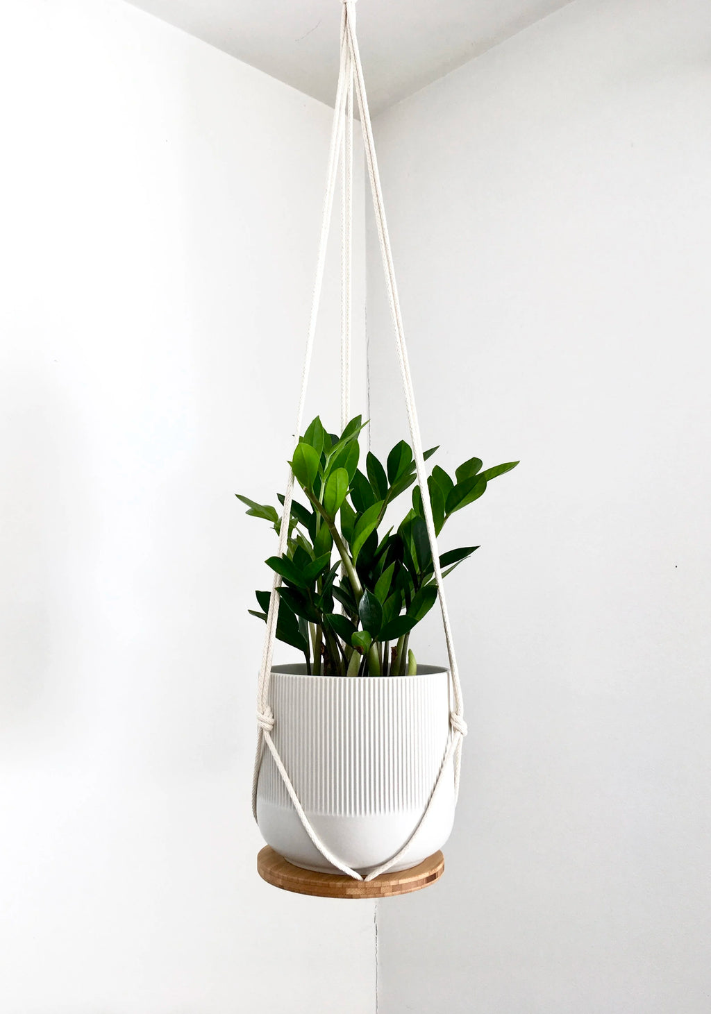 Hanging Plant Shelf