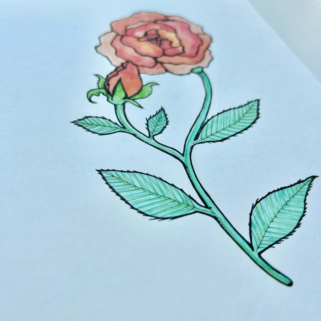 ROSE 4