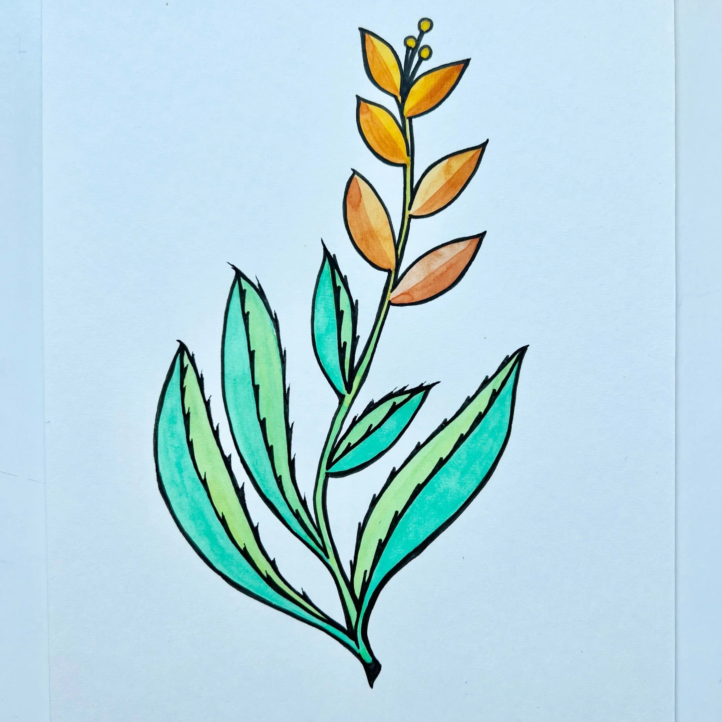 ALOE 2