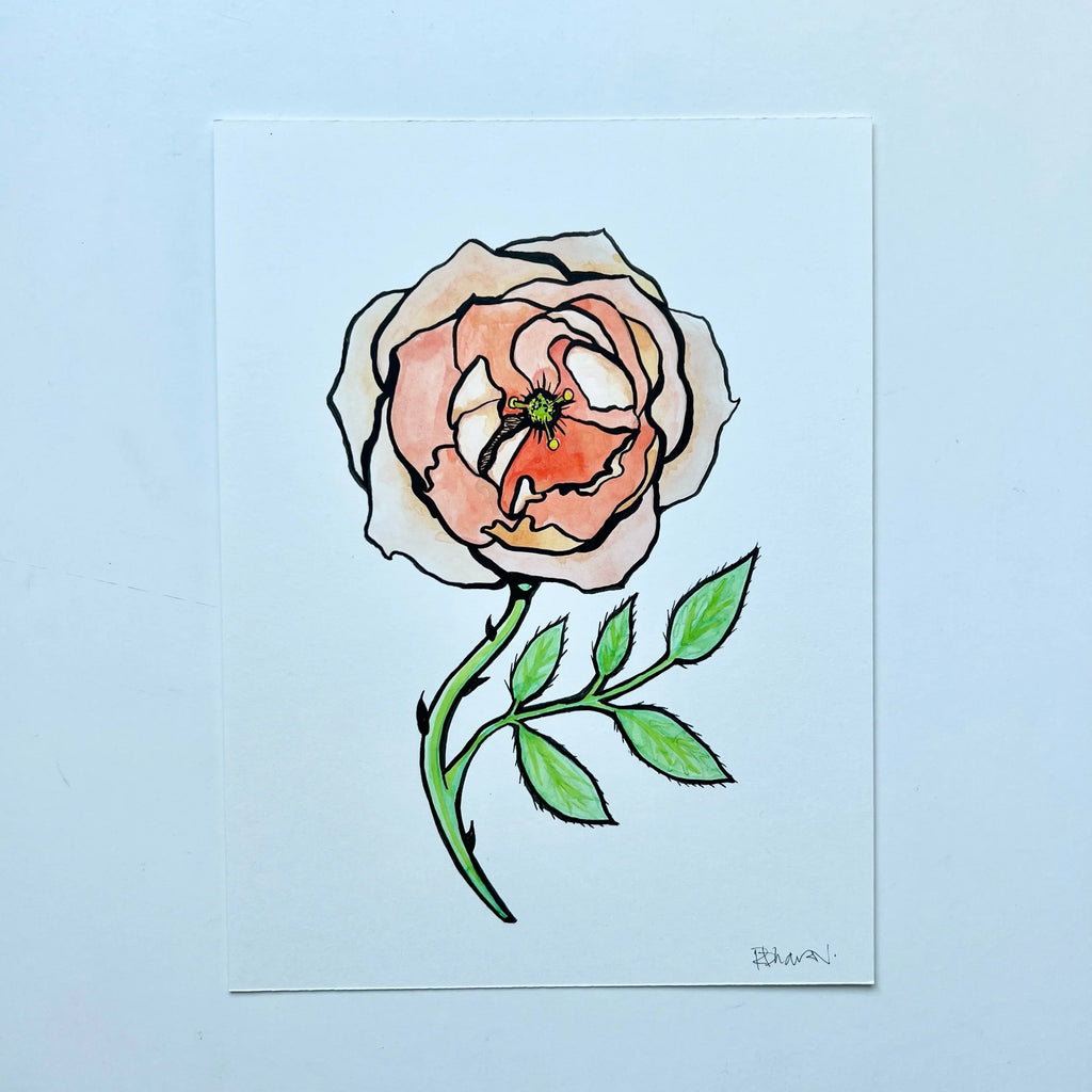 ROSE 1