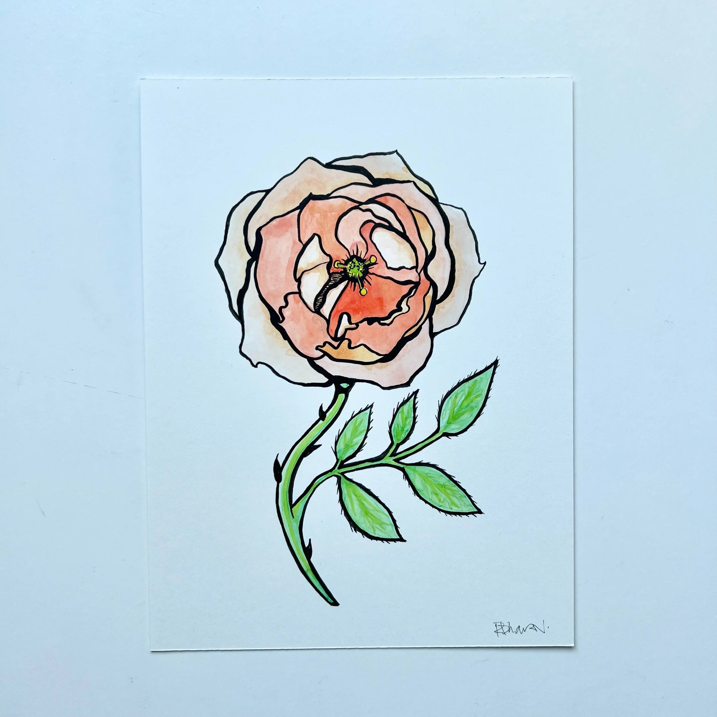 ROSE 1