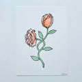 ROSE 5