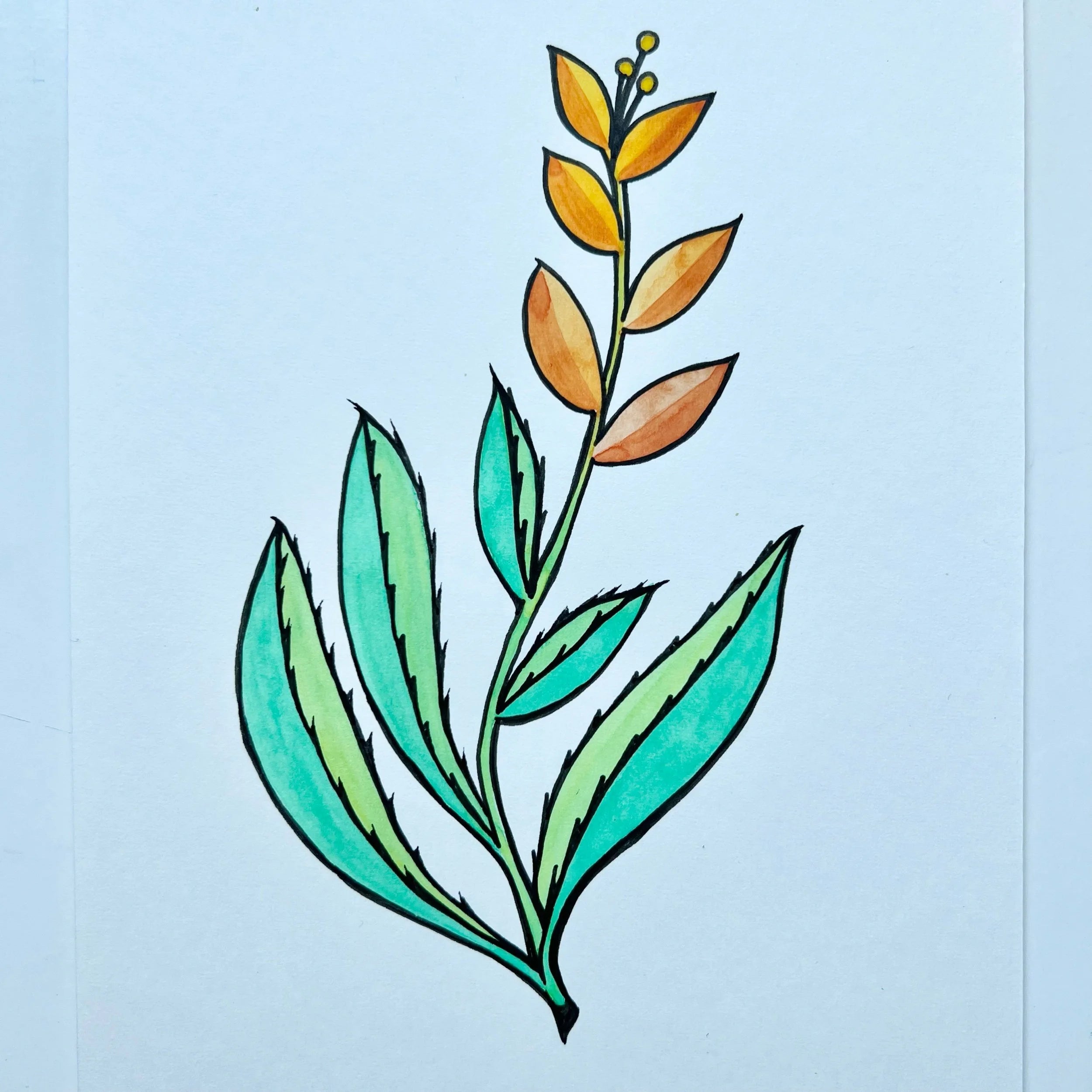 ALOE 2