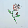 ROSE 3