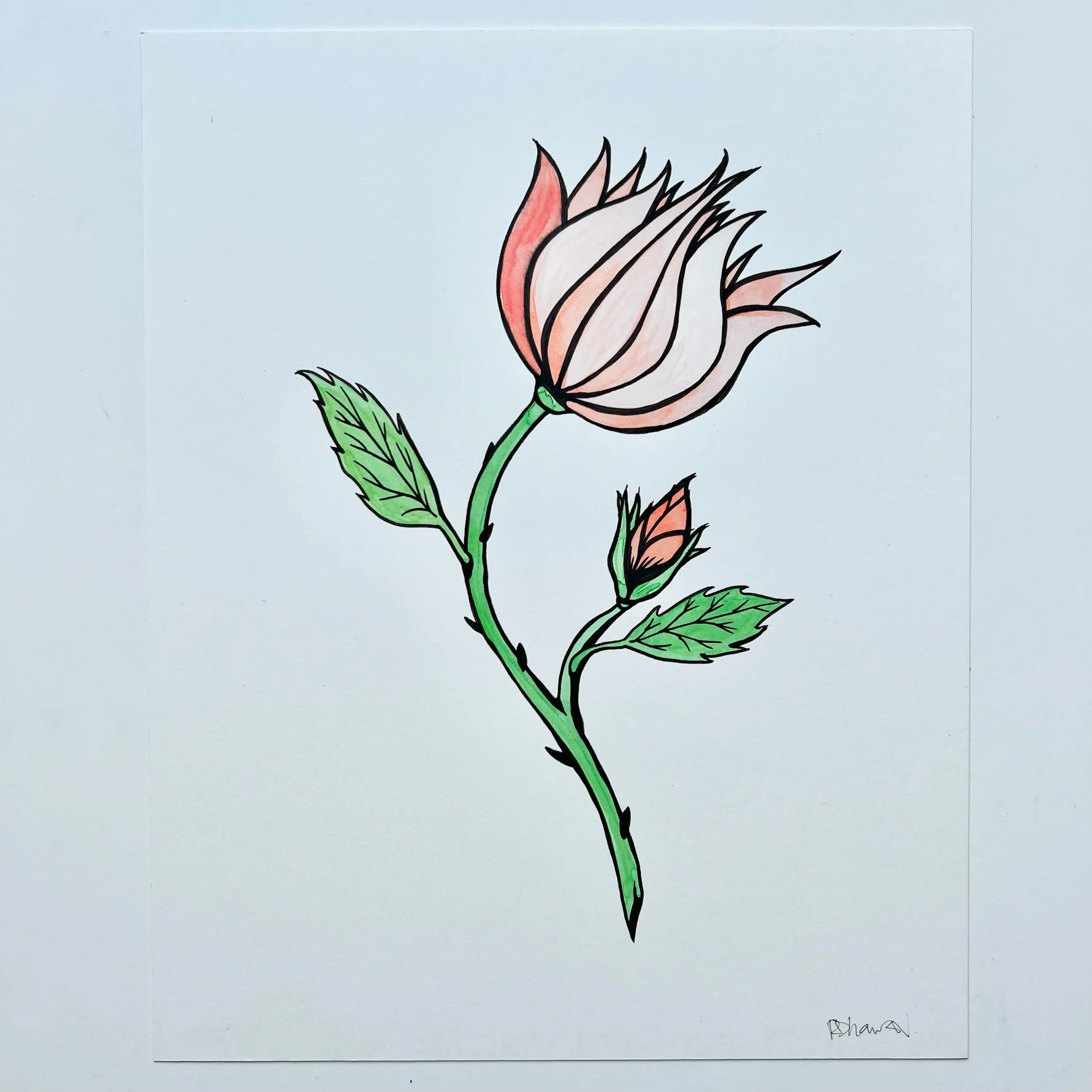 ROSE 3