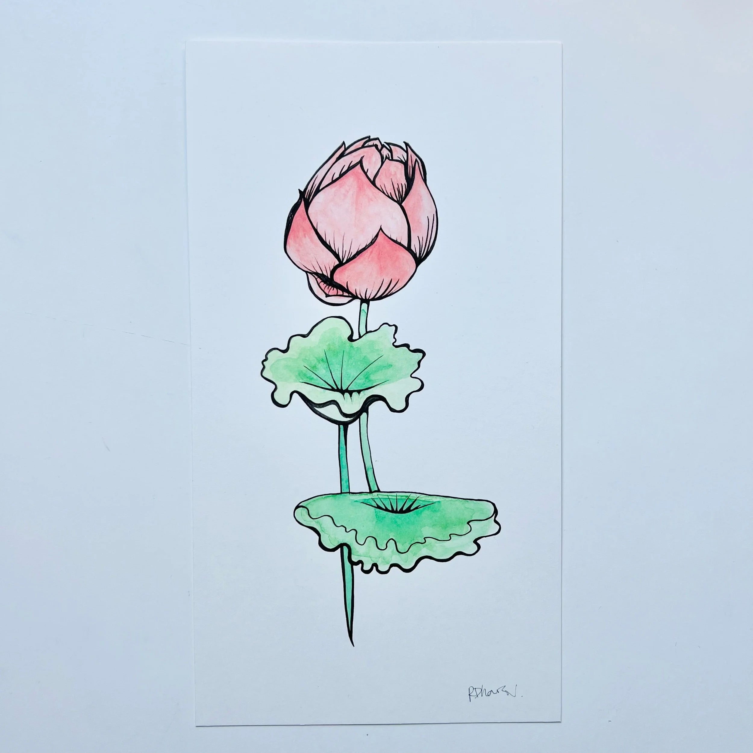 LOTUS 3