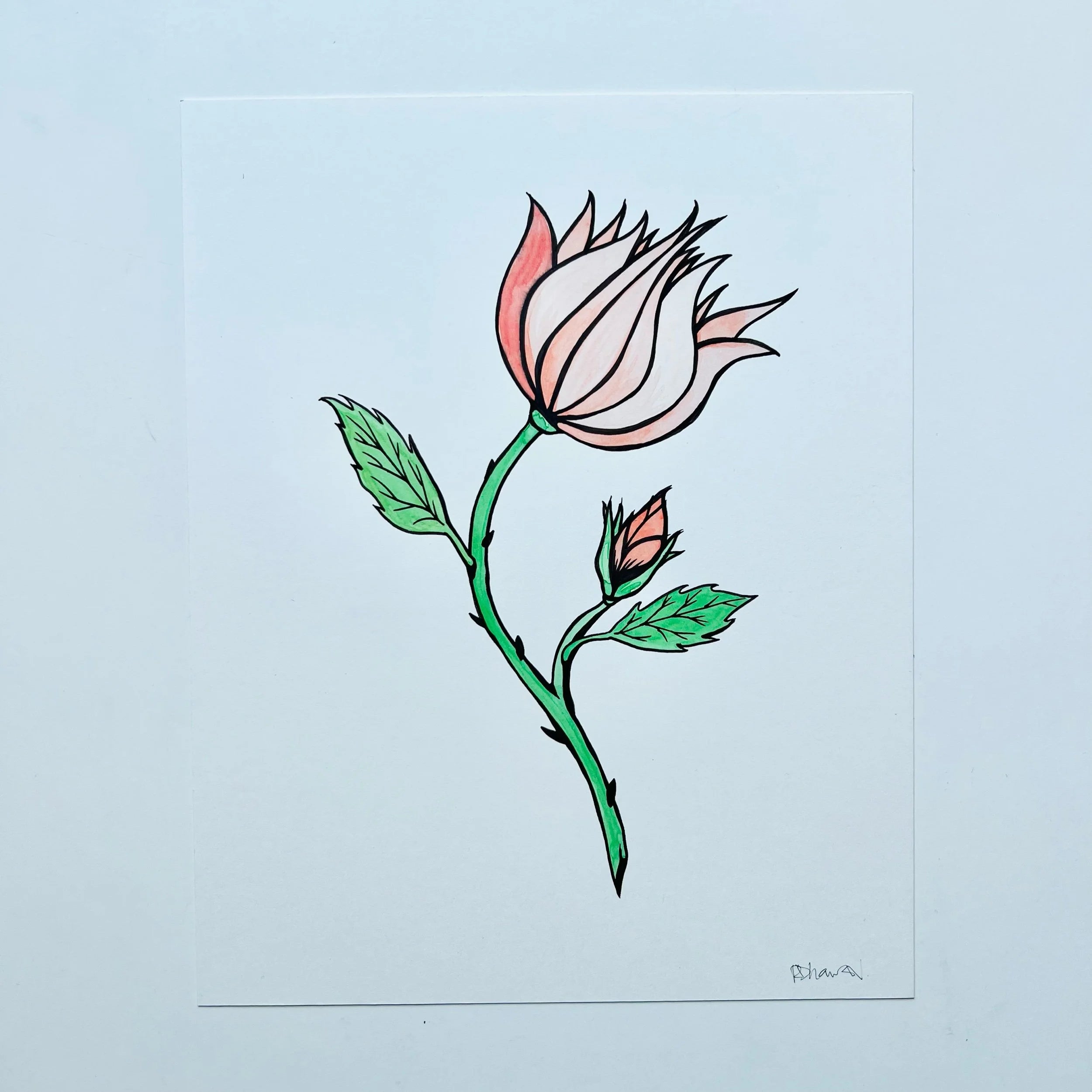 ROSE 3