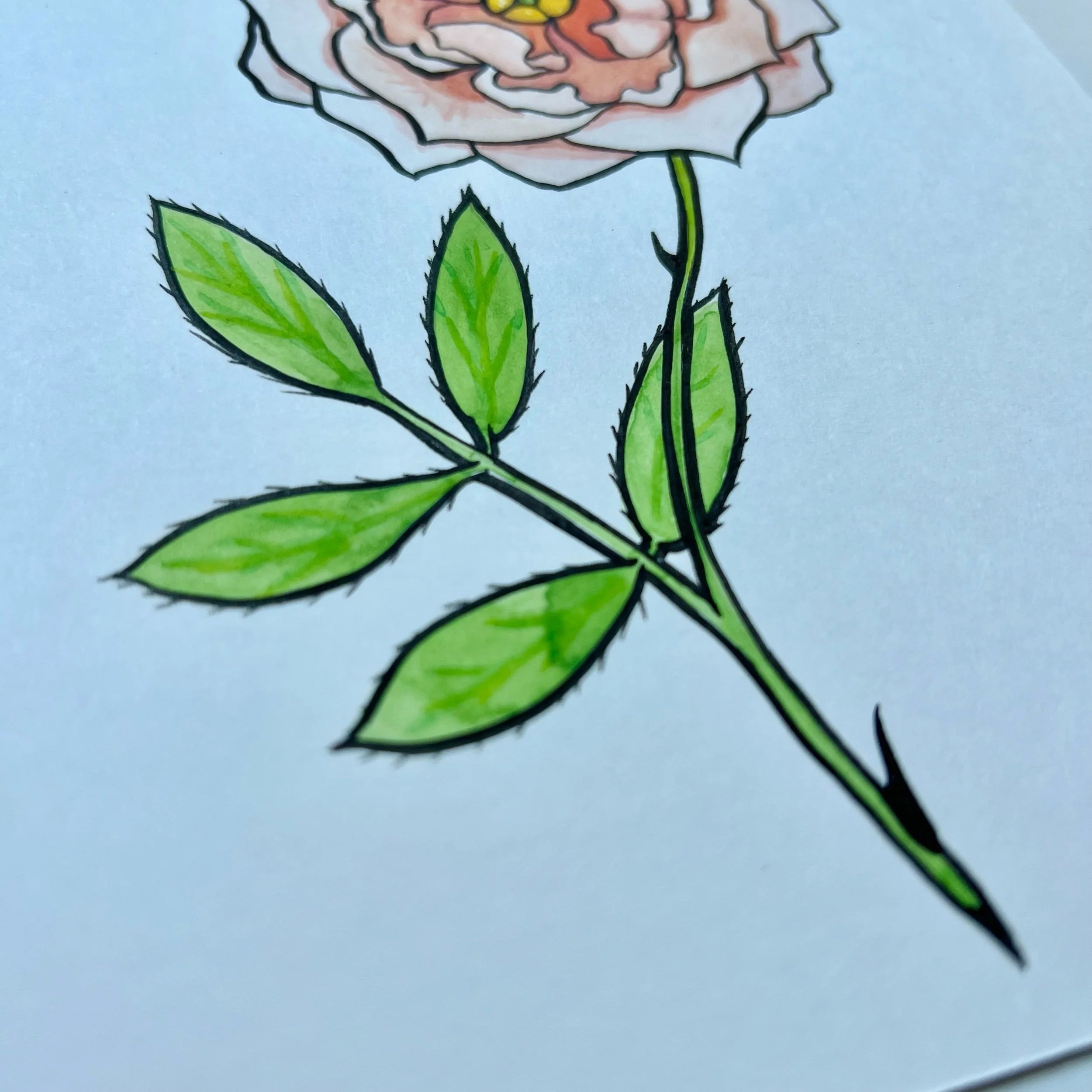 ROSE 2