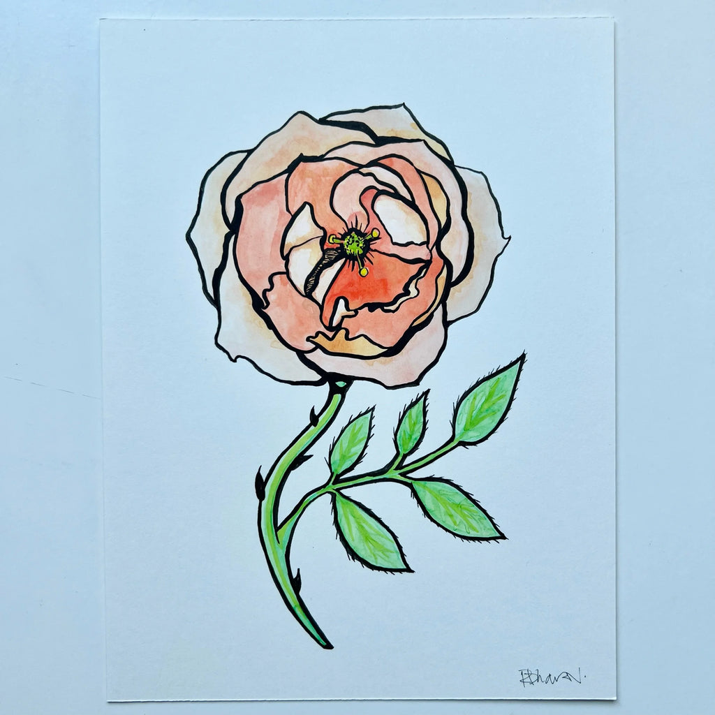 ROSE 1
