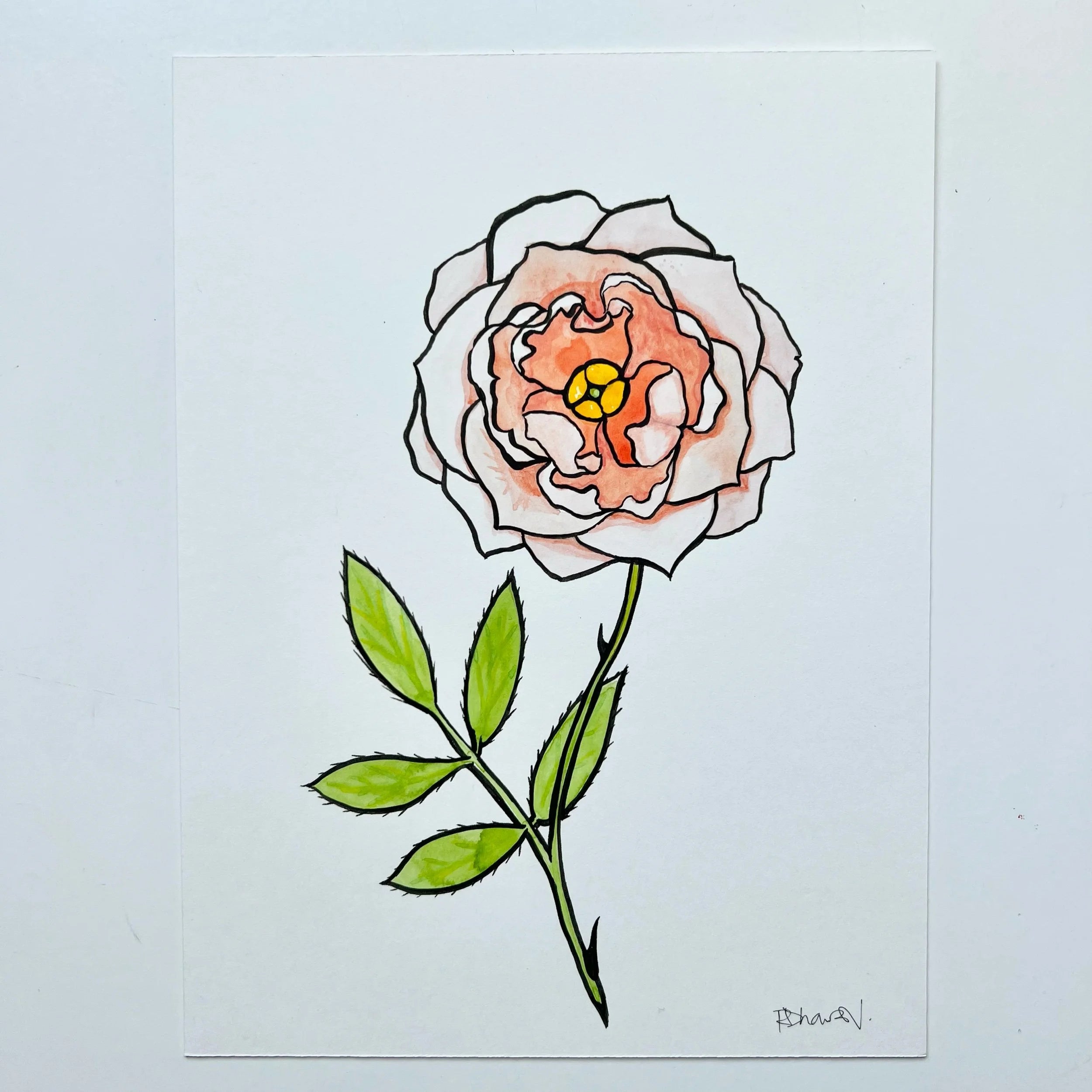 ROSE 2