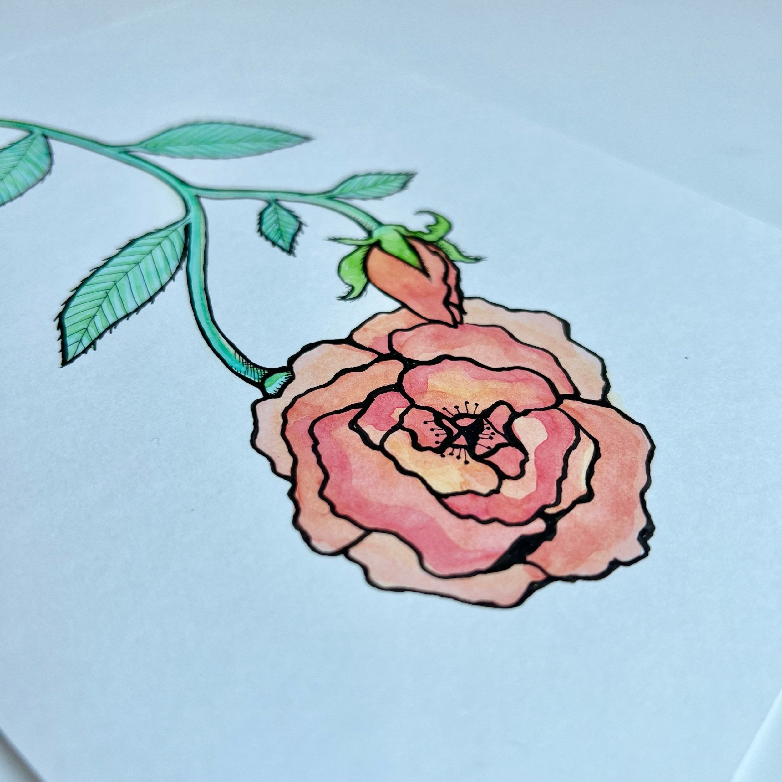 ROSE 4