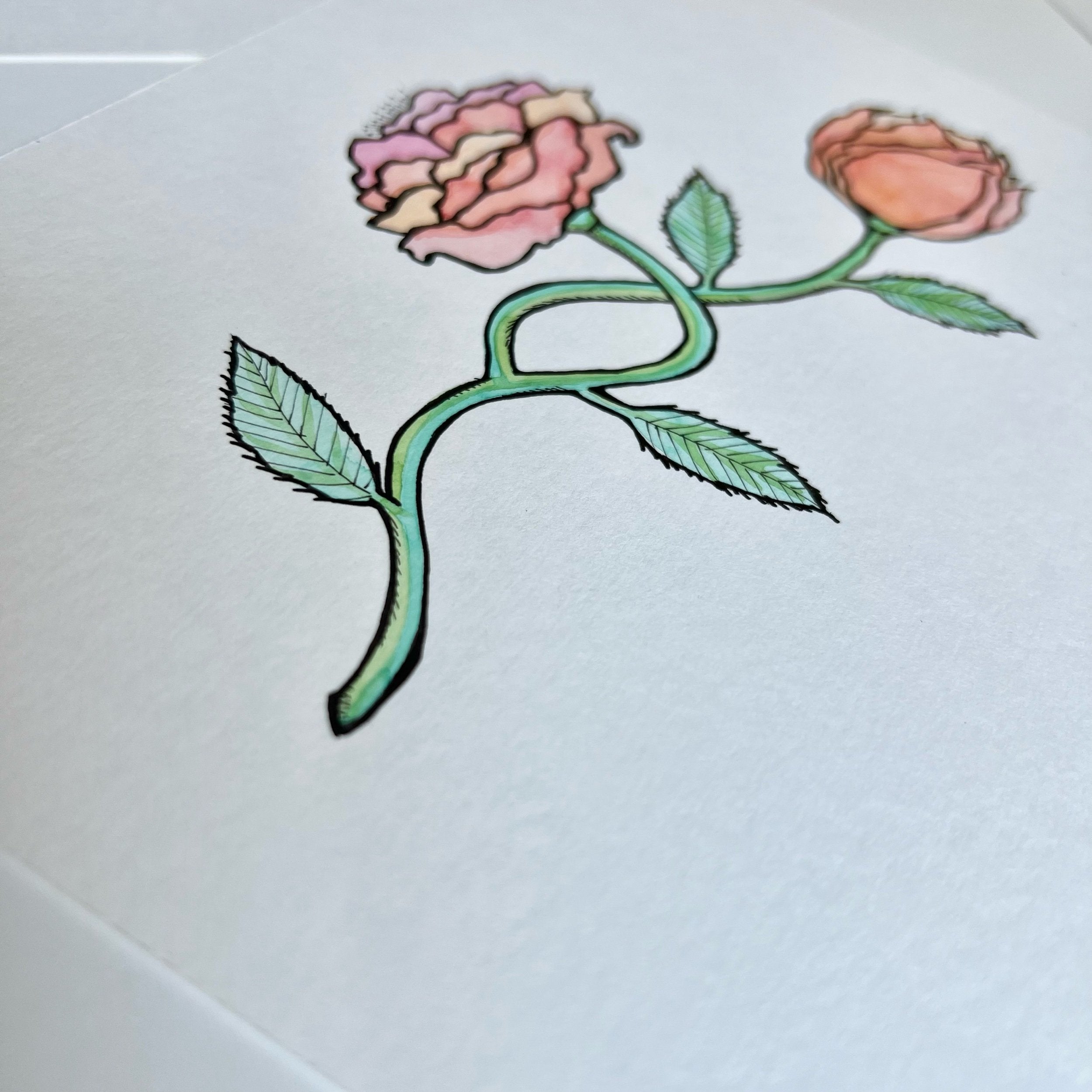 ROSE 5