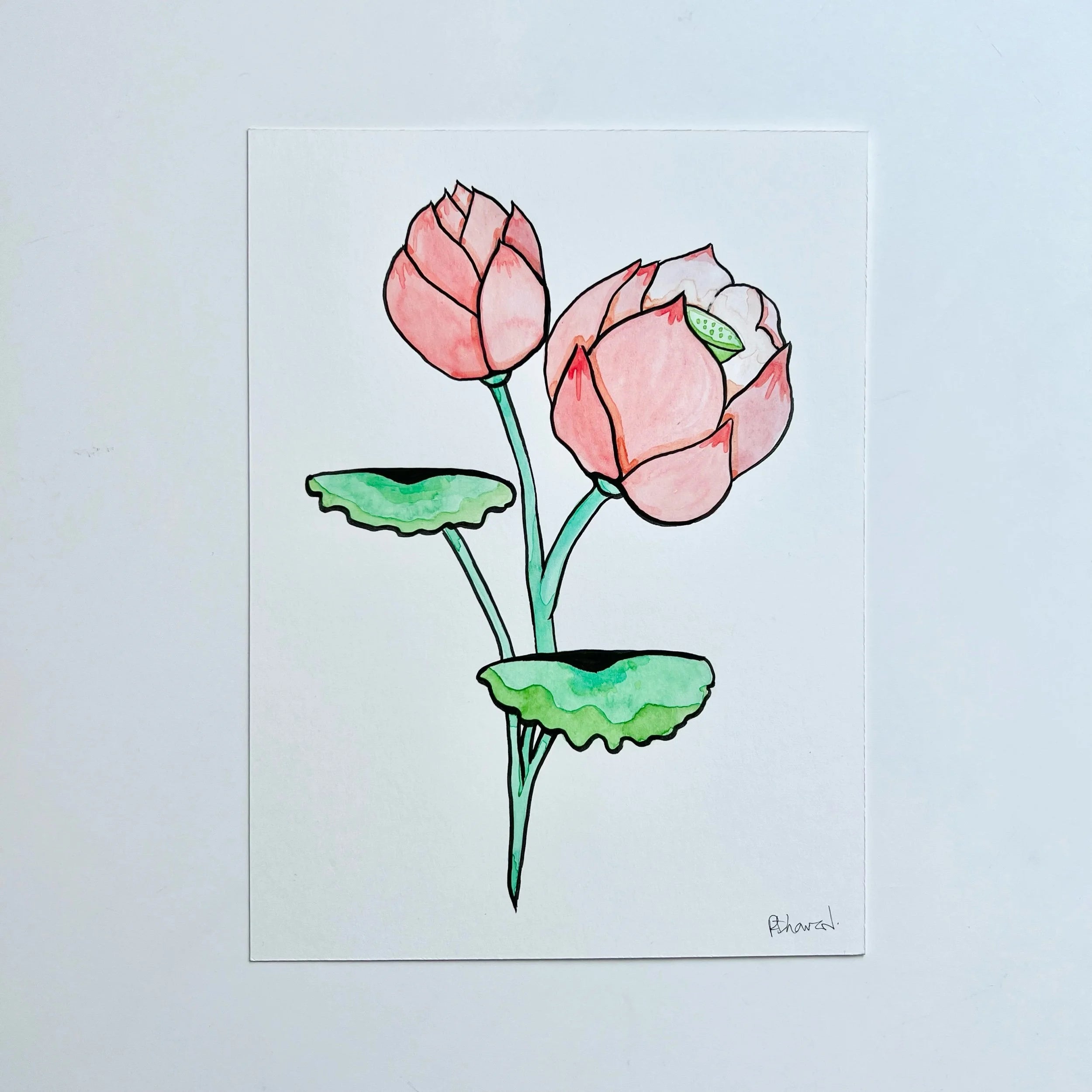 LOTUS 2