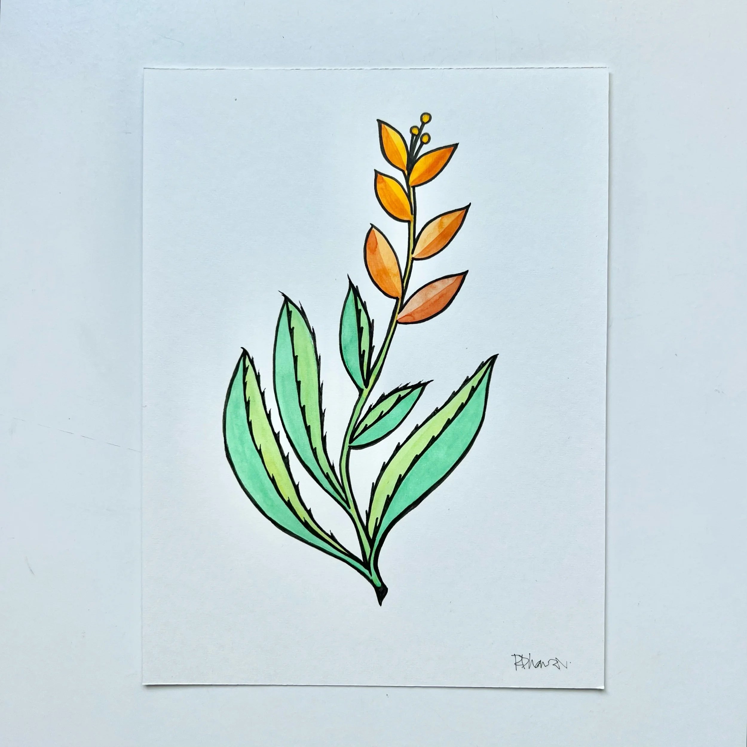 ALOE 2