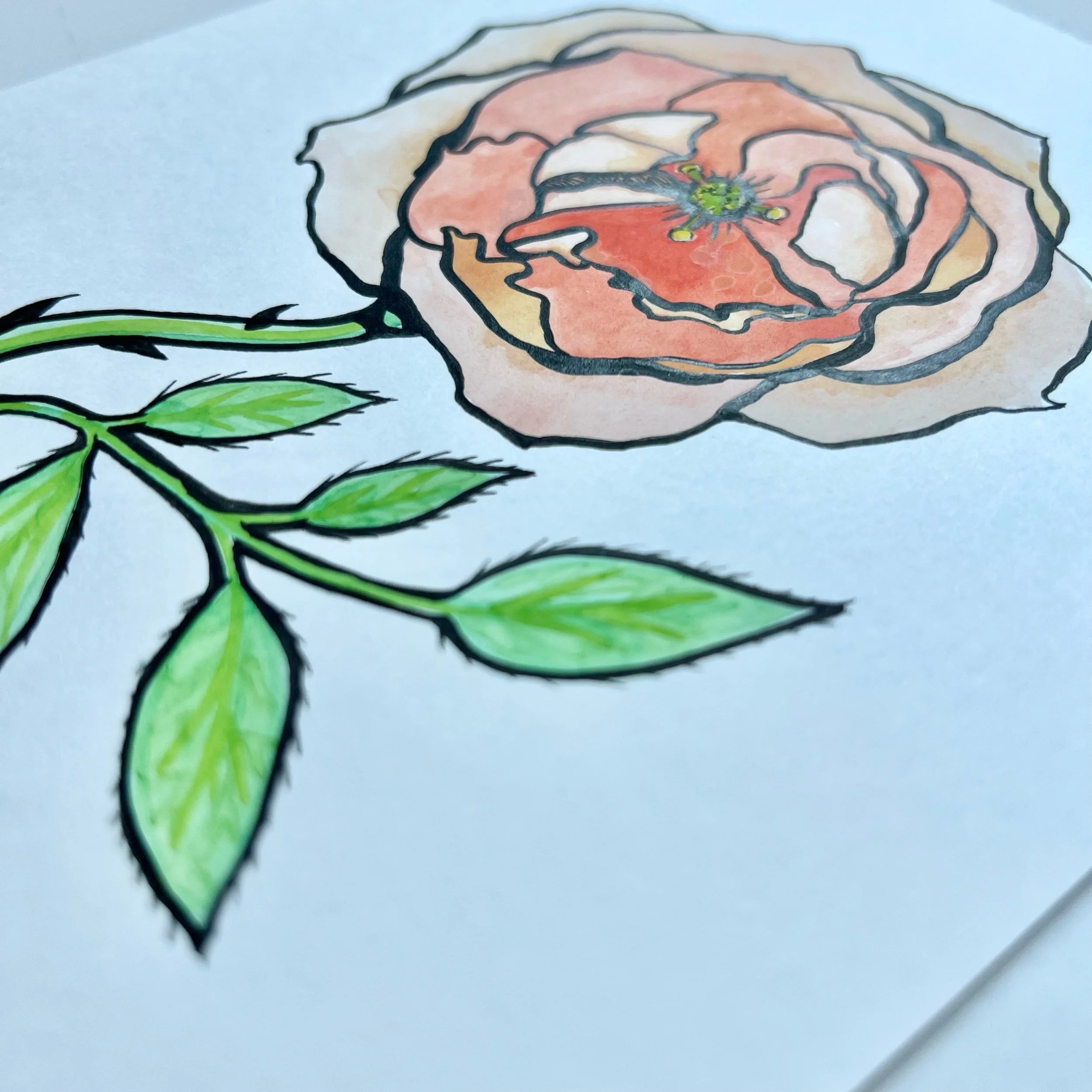 ROSE 1