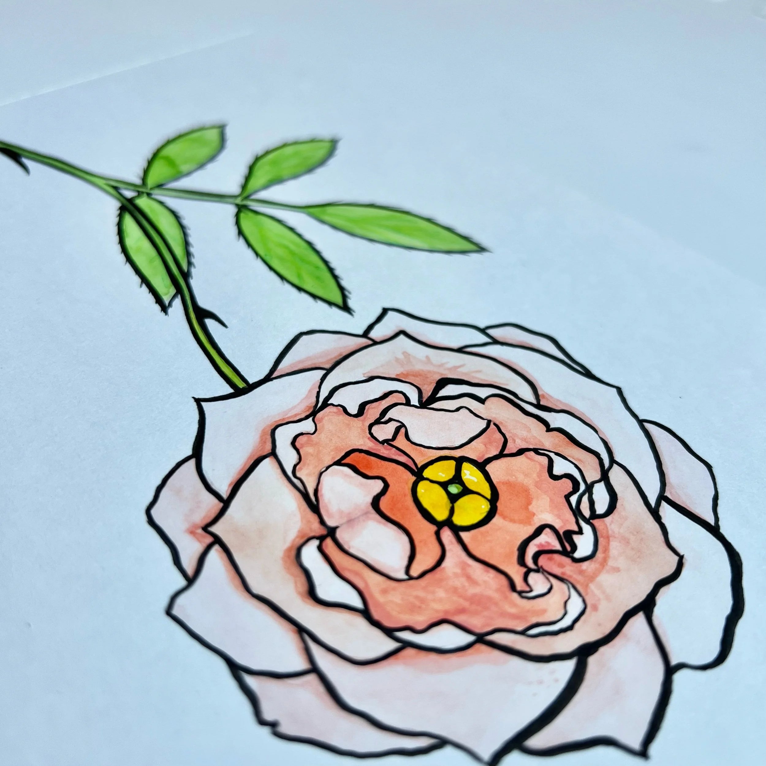 ROSE 2