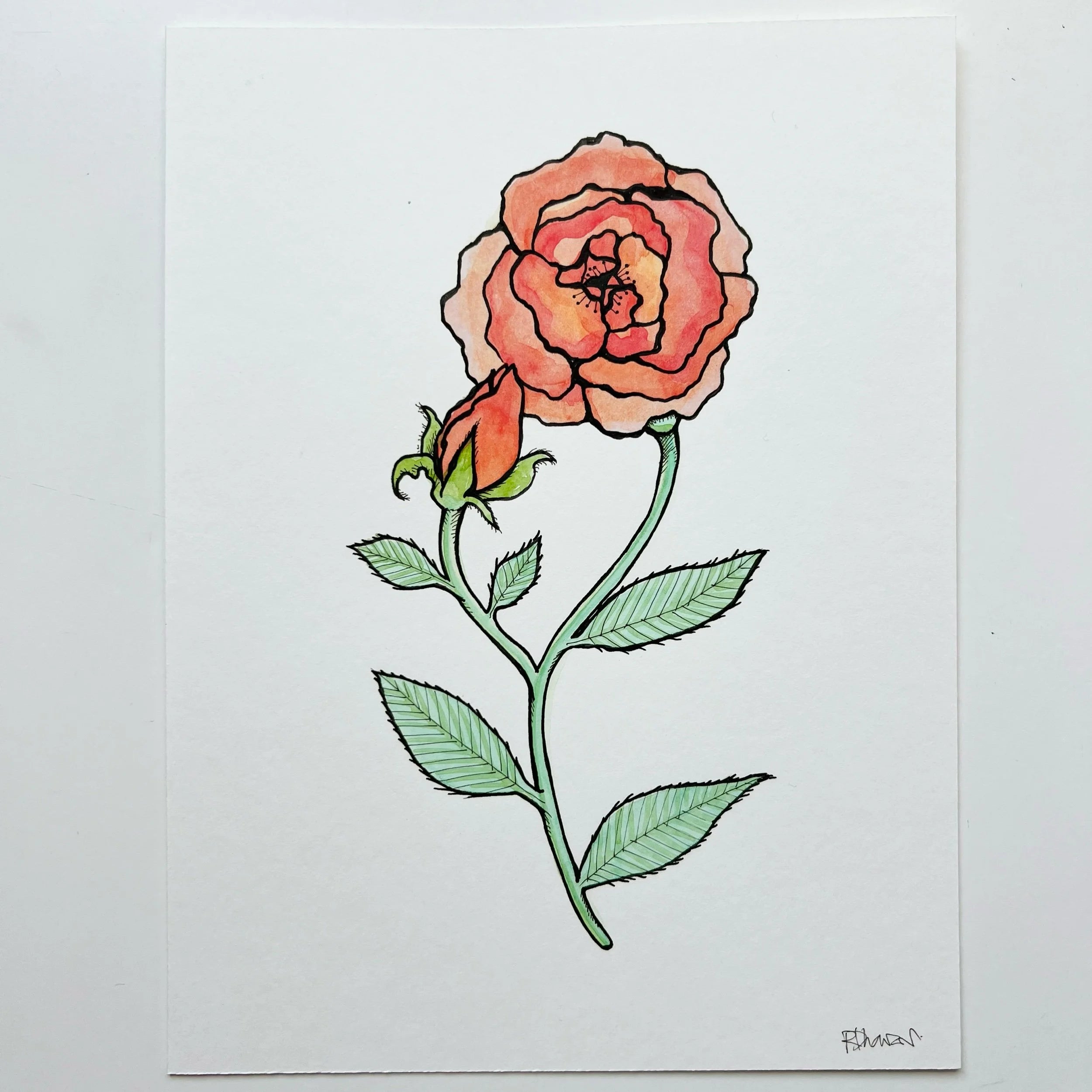 ROSE 4