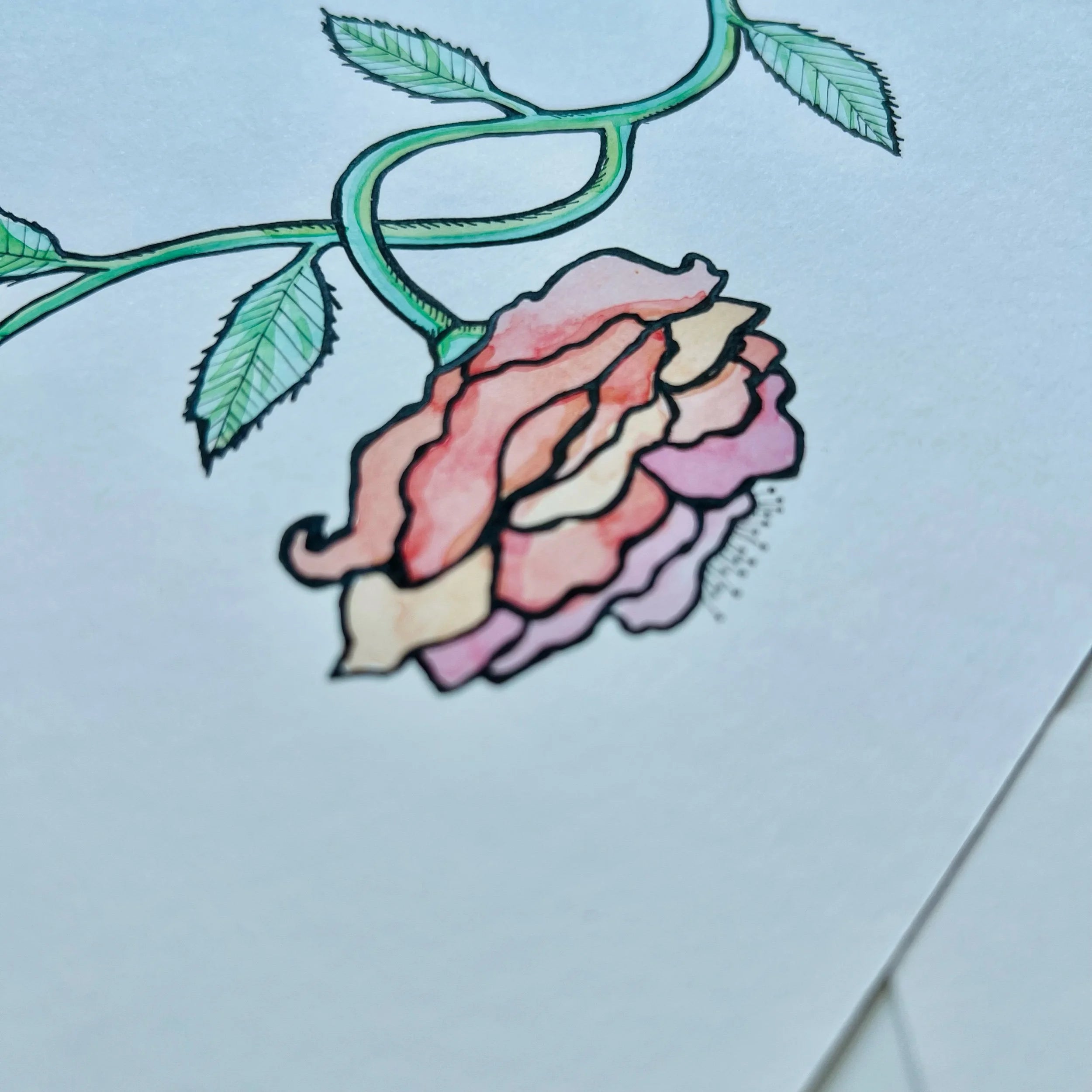 ROSE 5