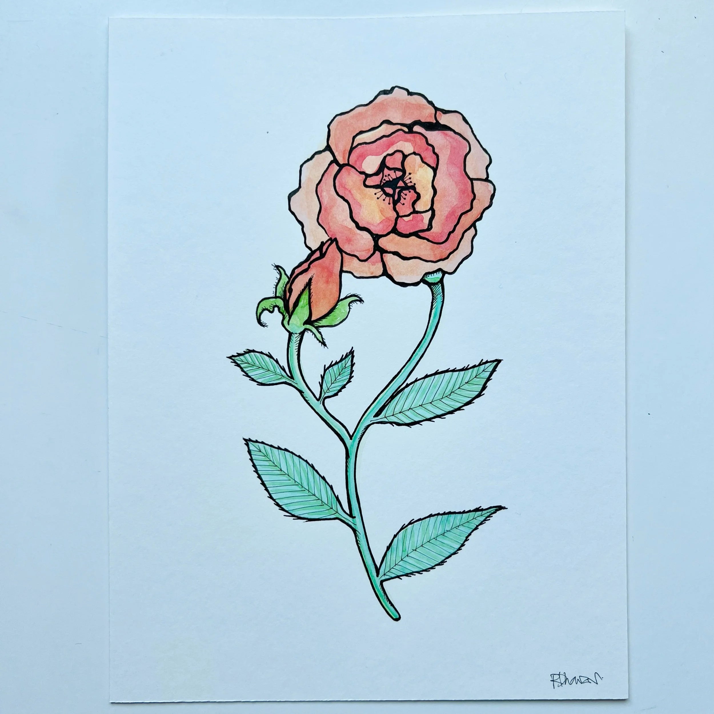 ROSE 4