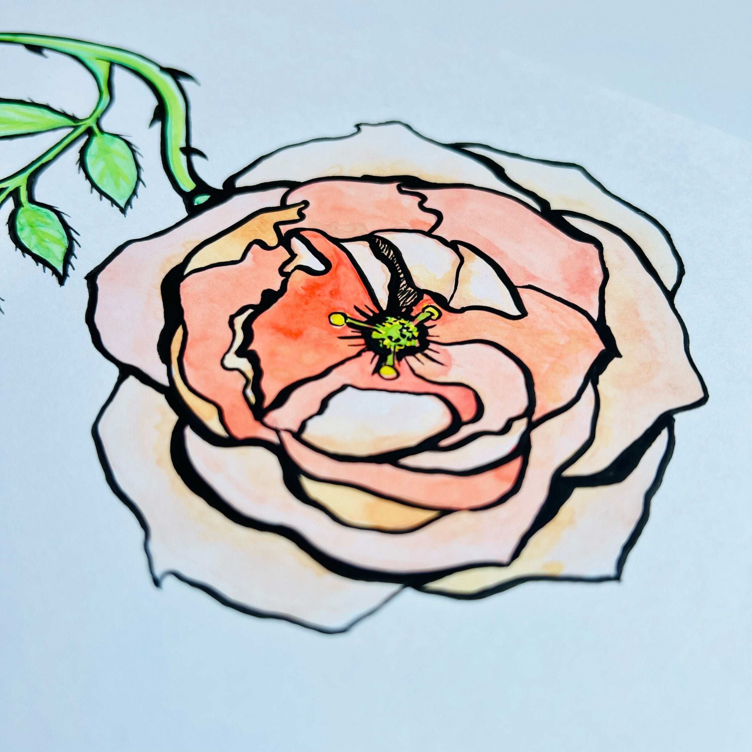 ROSE 1