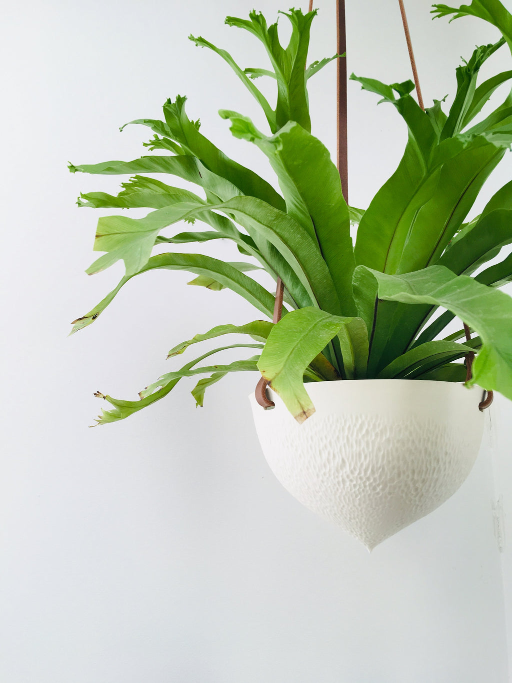 Facet Hanging Planter