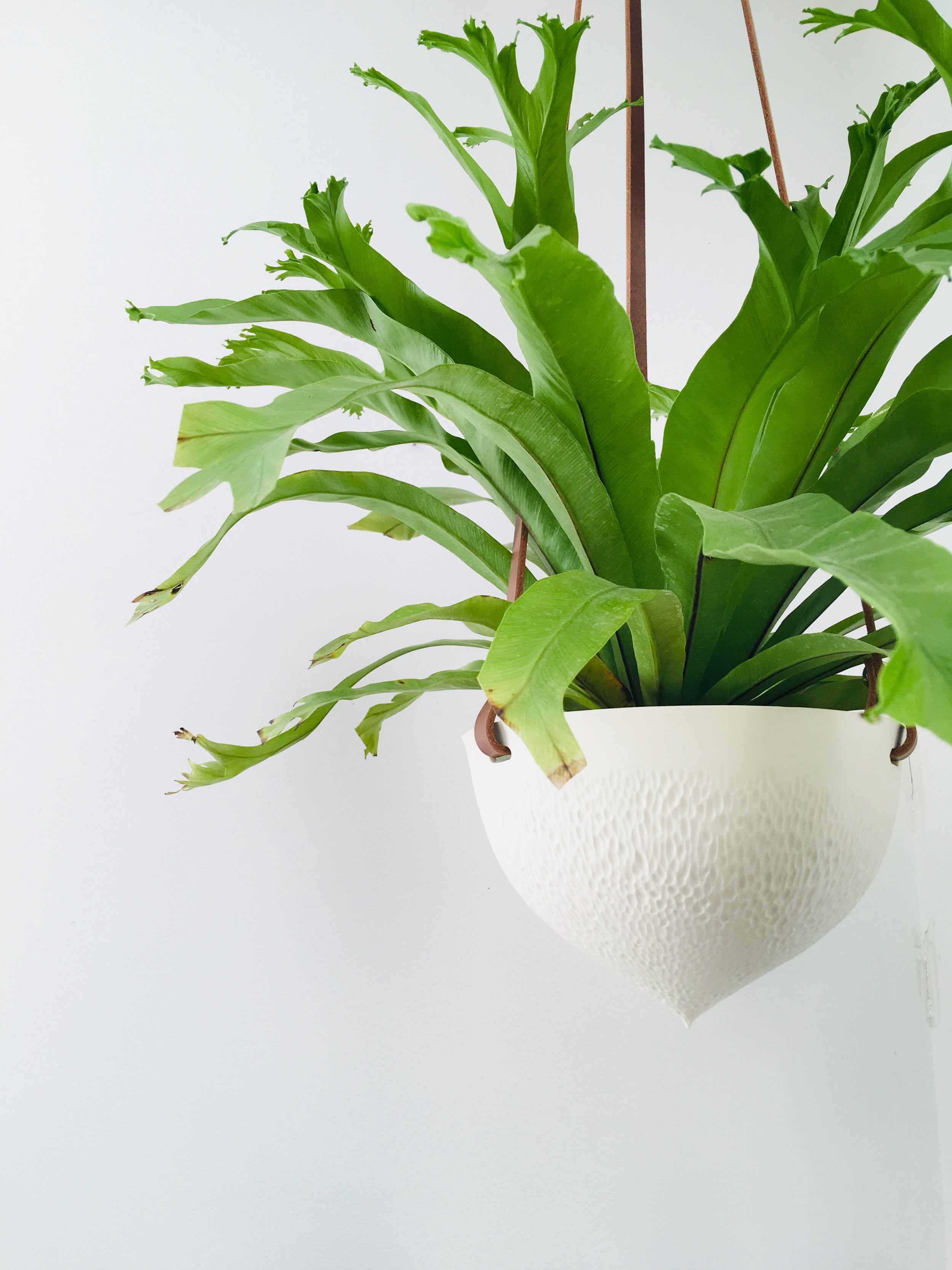 Facet Hanging Planter