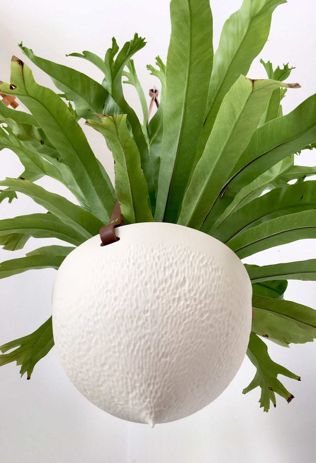 Facet Hanging Planter