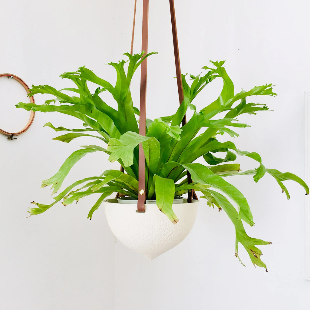 Facet Hanging Planter