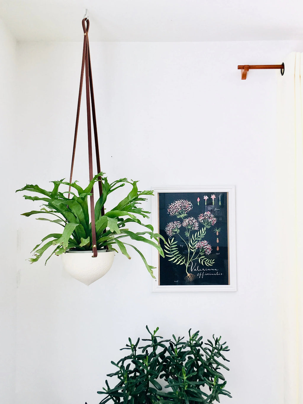 Facet Hanging Planter