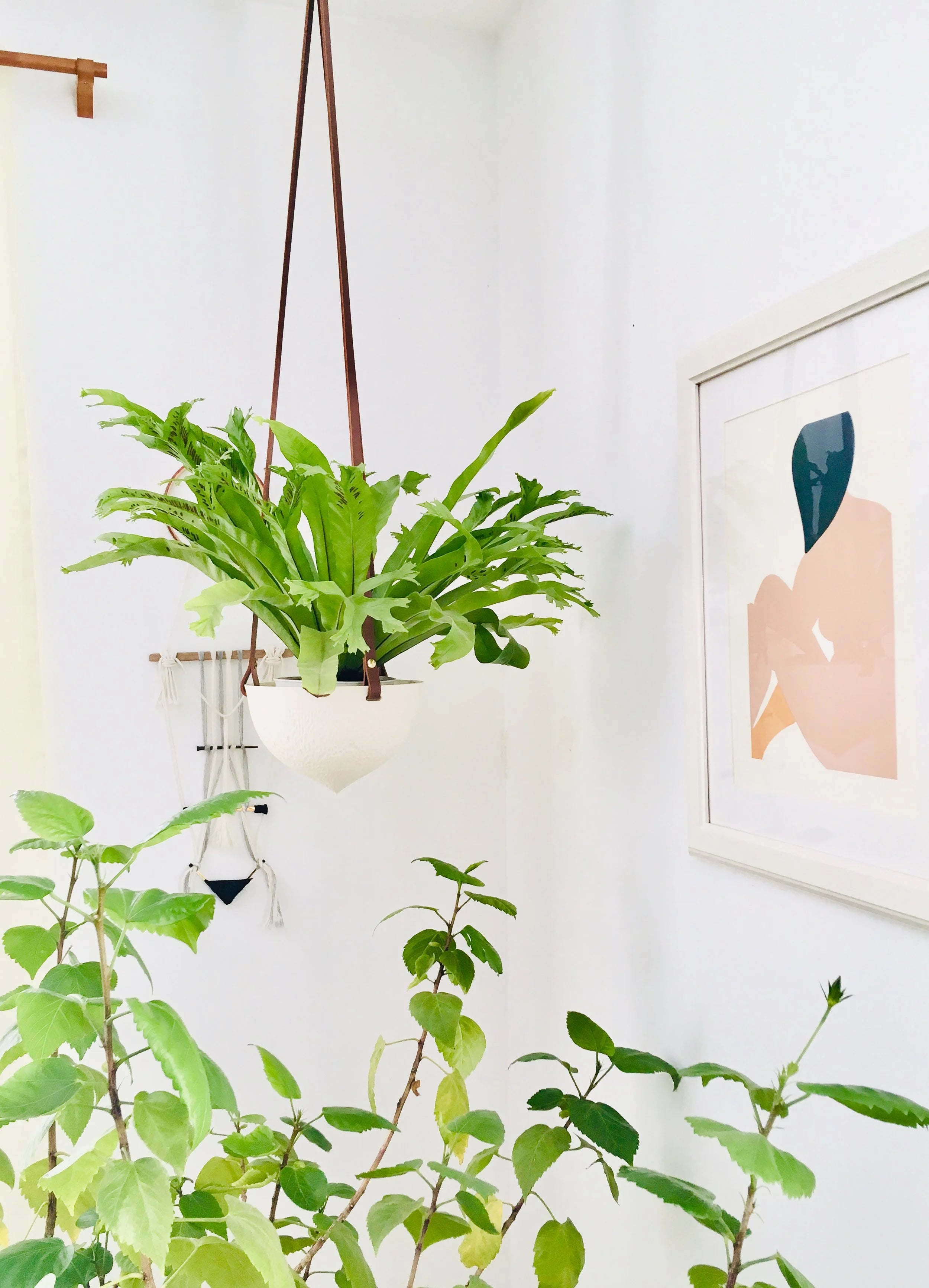 Facet Hanging Planter