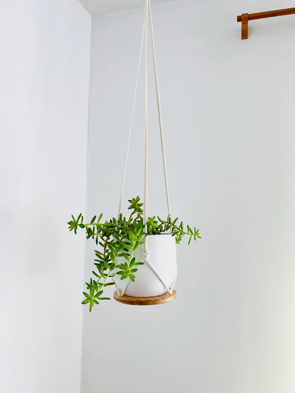 Hanging Plant Shelf