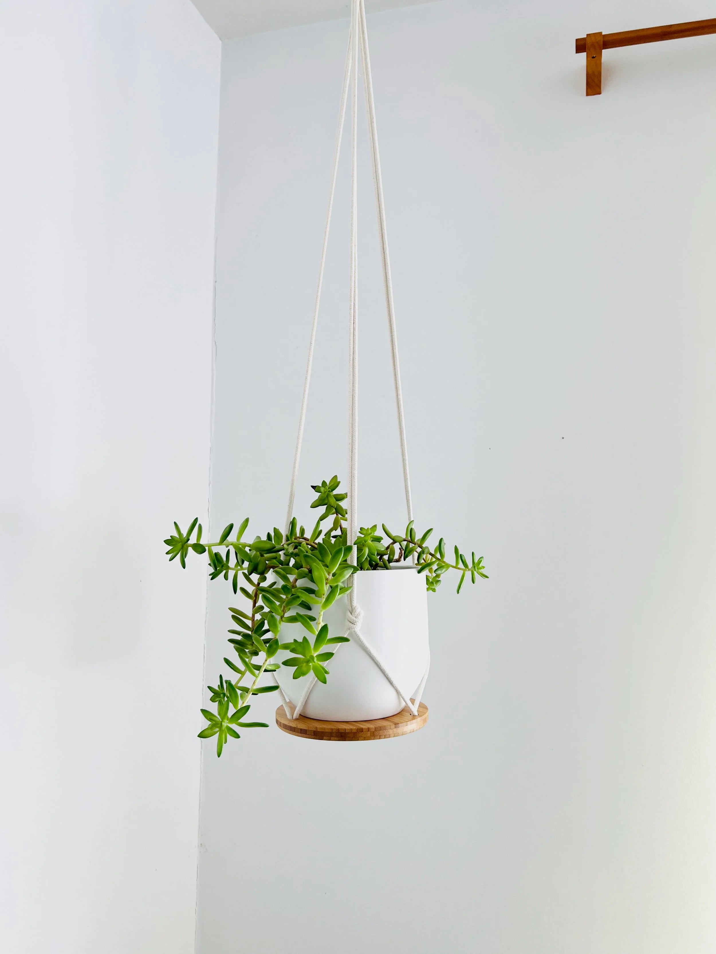 Hanging Plant Shelf