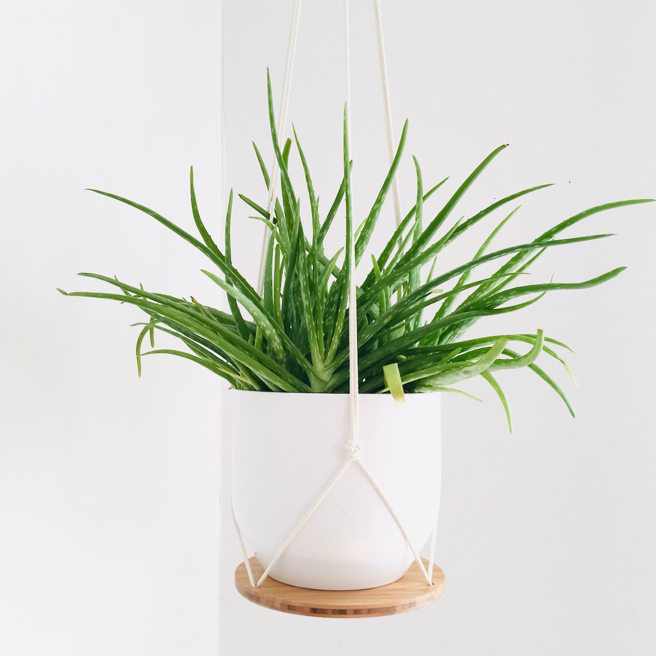 Hanging Plant Shelf