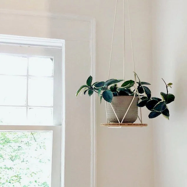 Hanging Plant Shelf