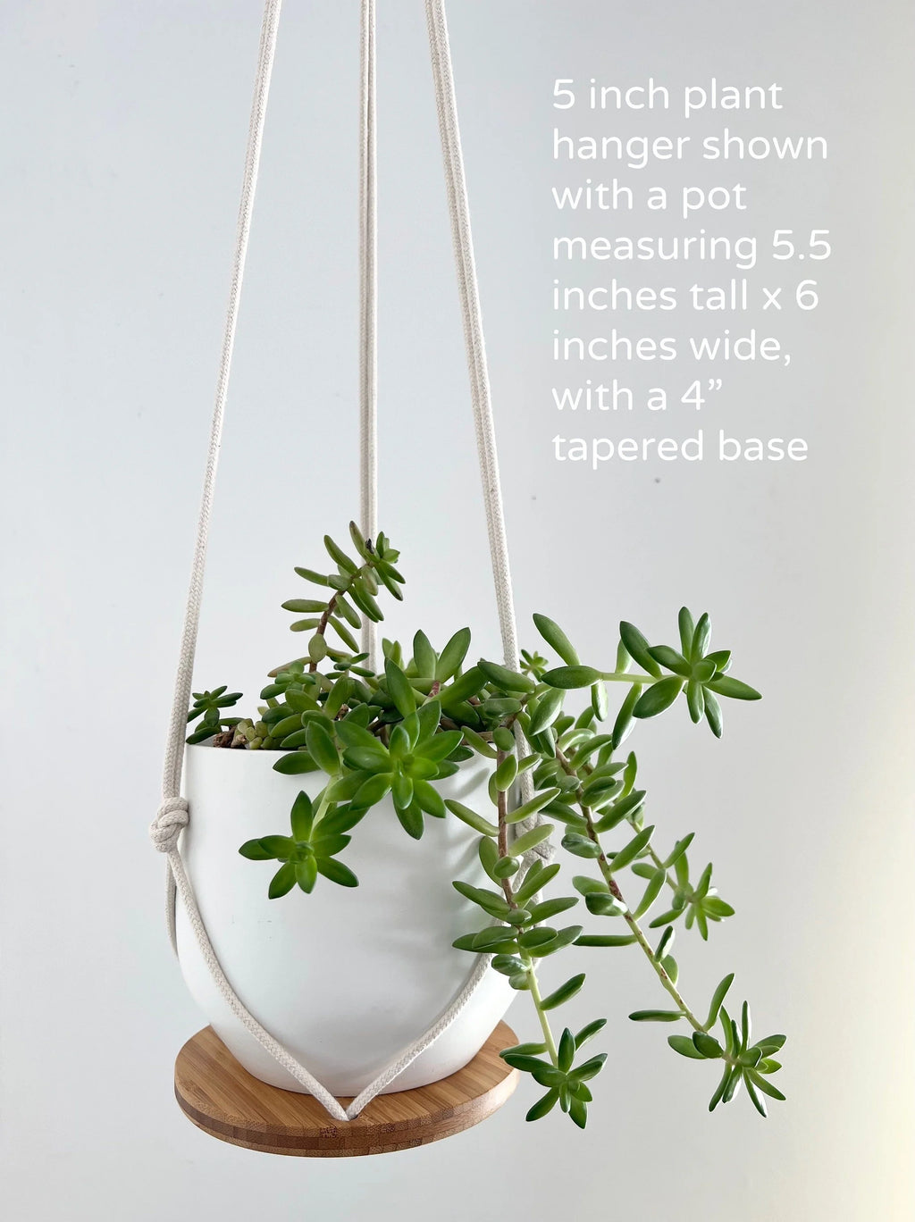 Hanging Plant Shelf
