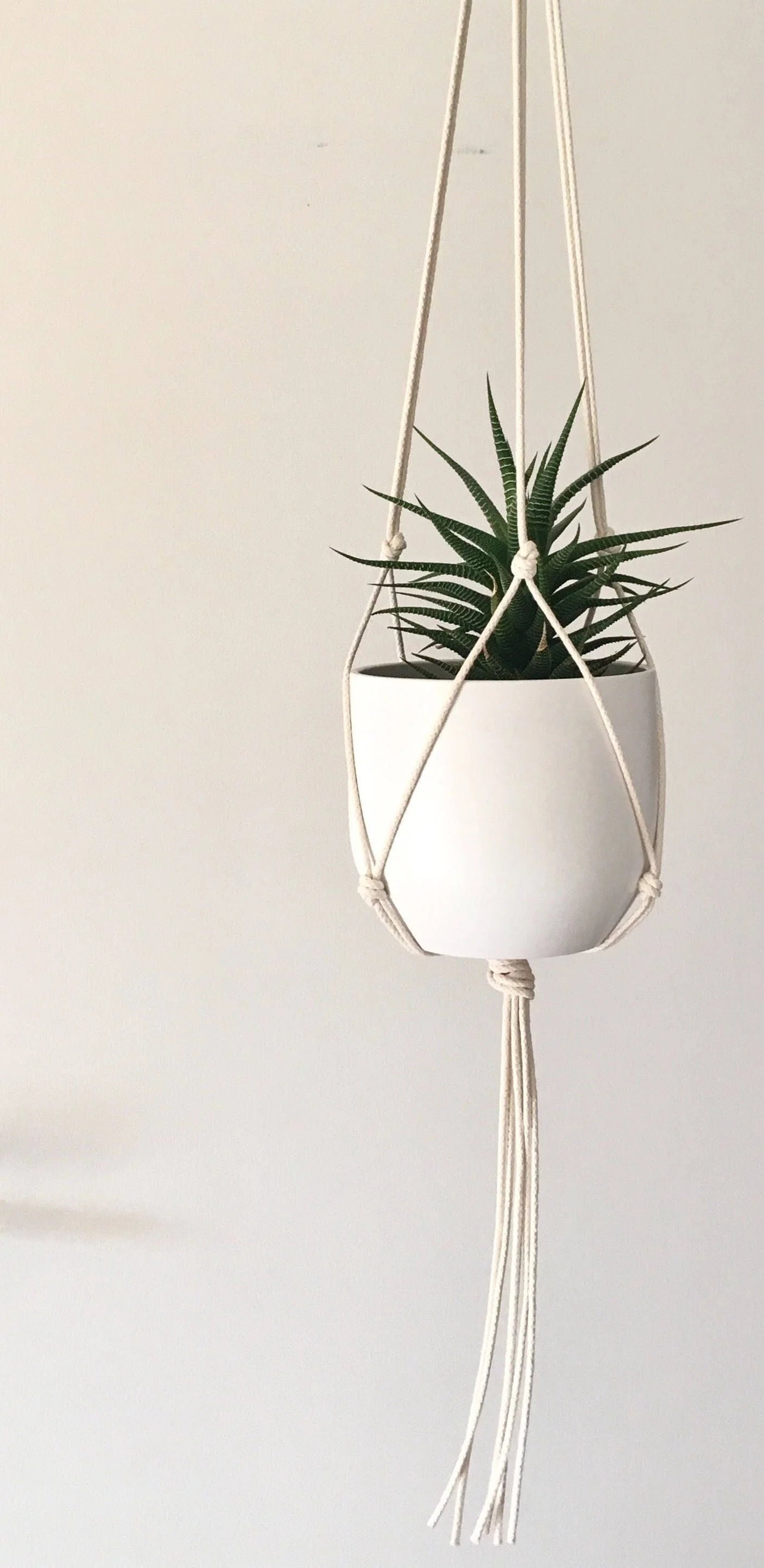 Medium Gauge Cotton Plant Hanger