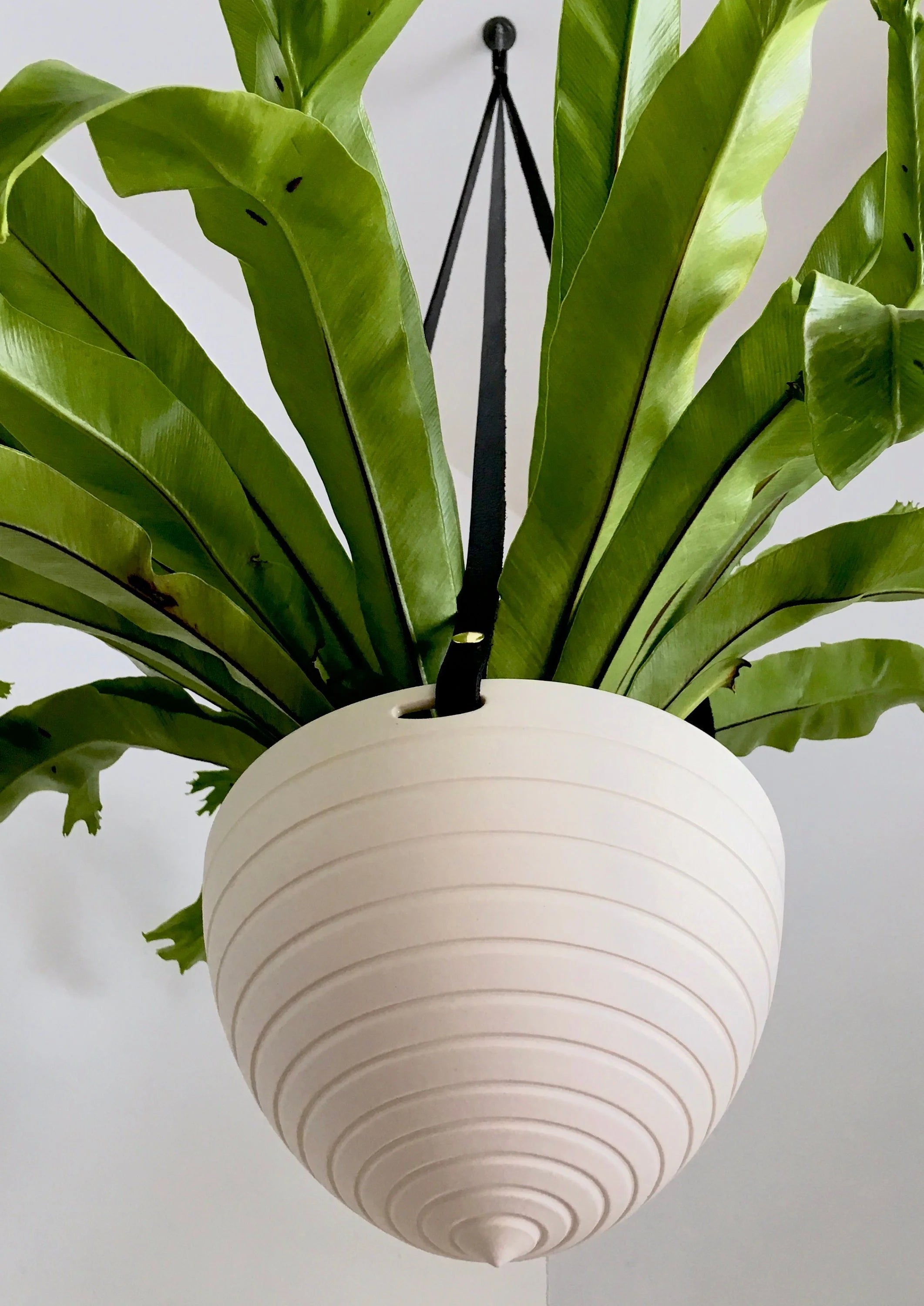 Dots or Stripes Hanging Planter