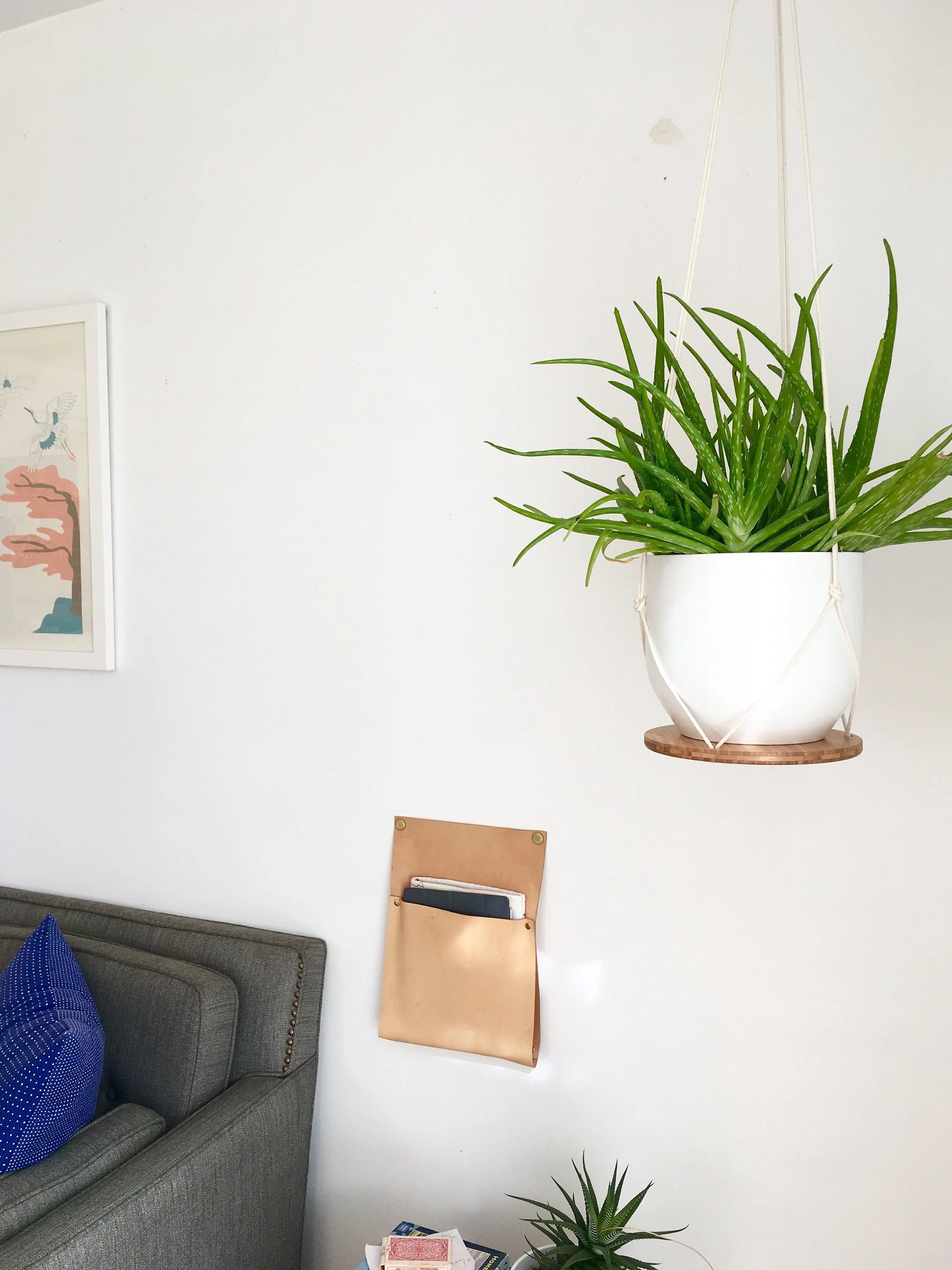 Hanging Plant Shelf