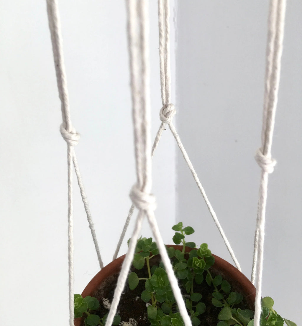 Small Gauge Cotton Plant Hanger