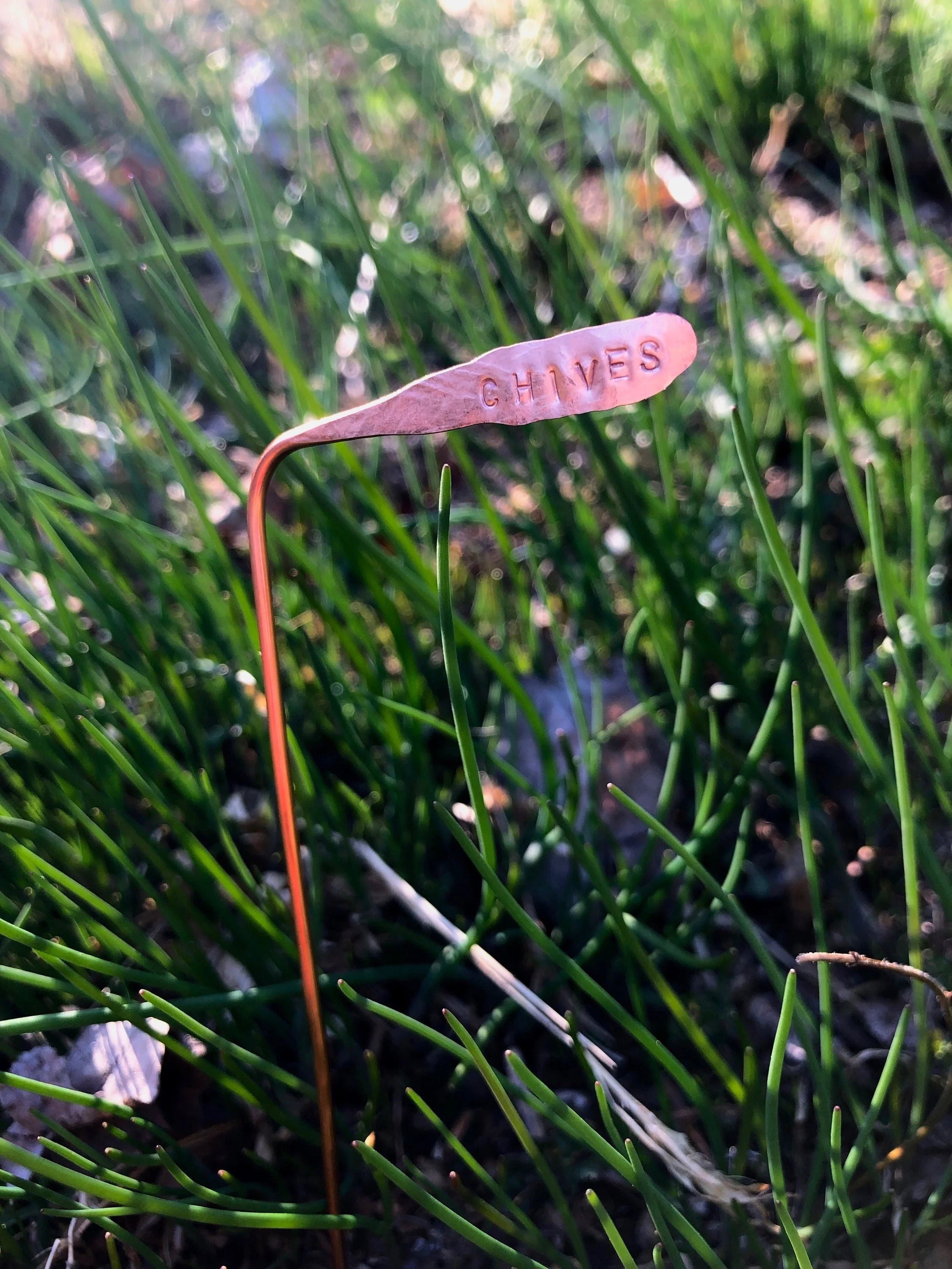 Plant Tags