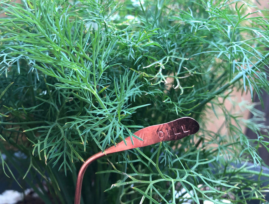 Plant Tags