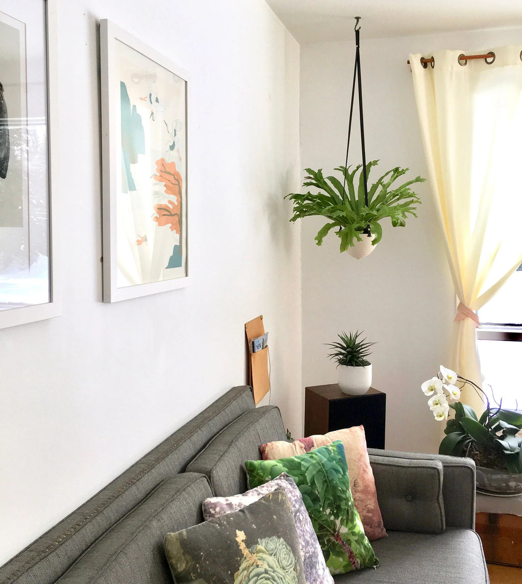 Imperfect Dotted Hanging Planter