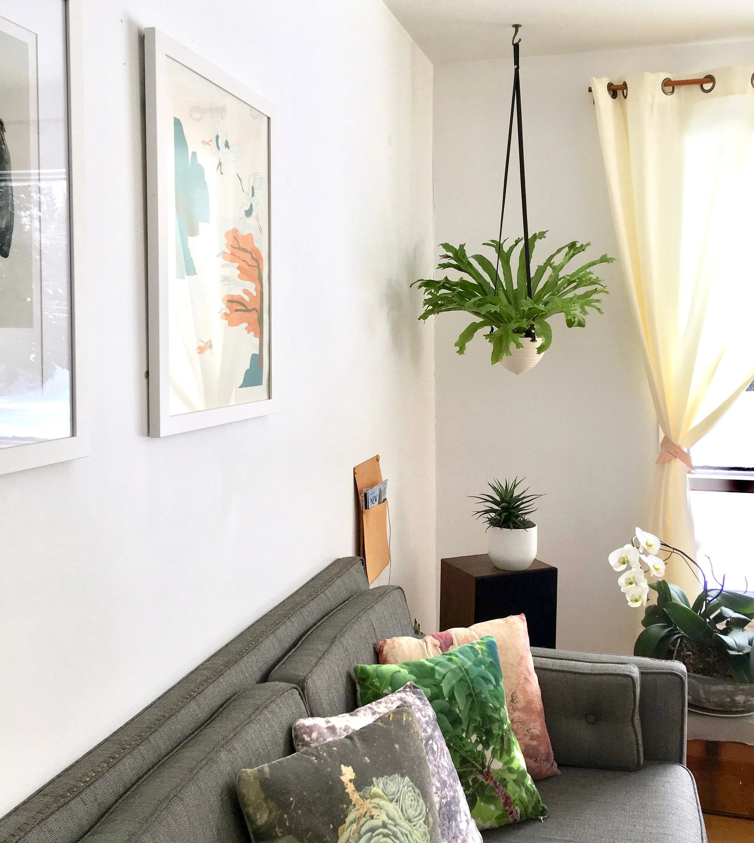 Dots or Stripes Hanging Planter